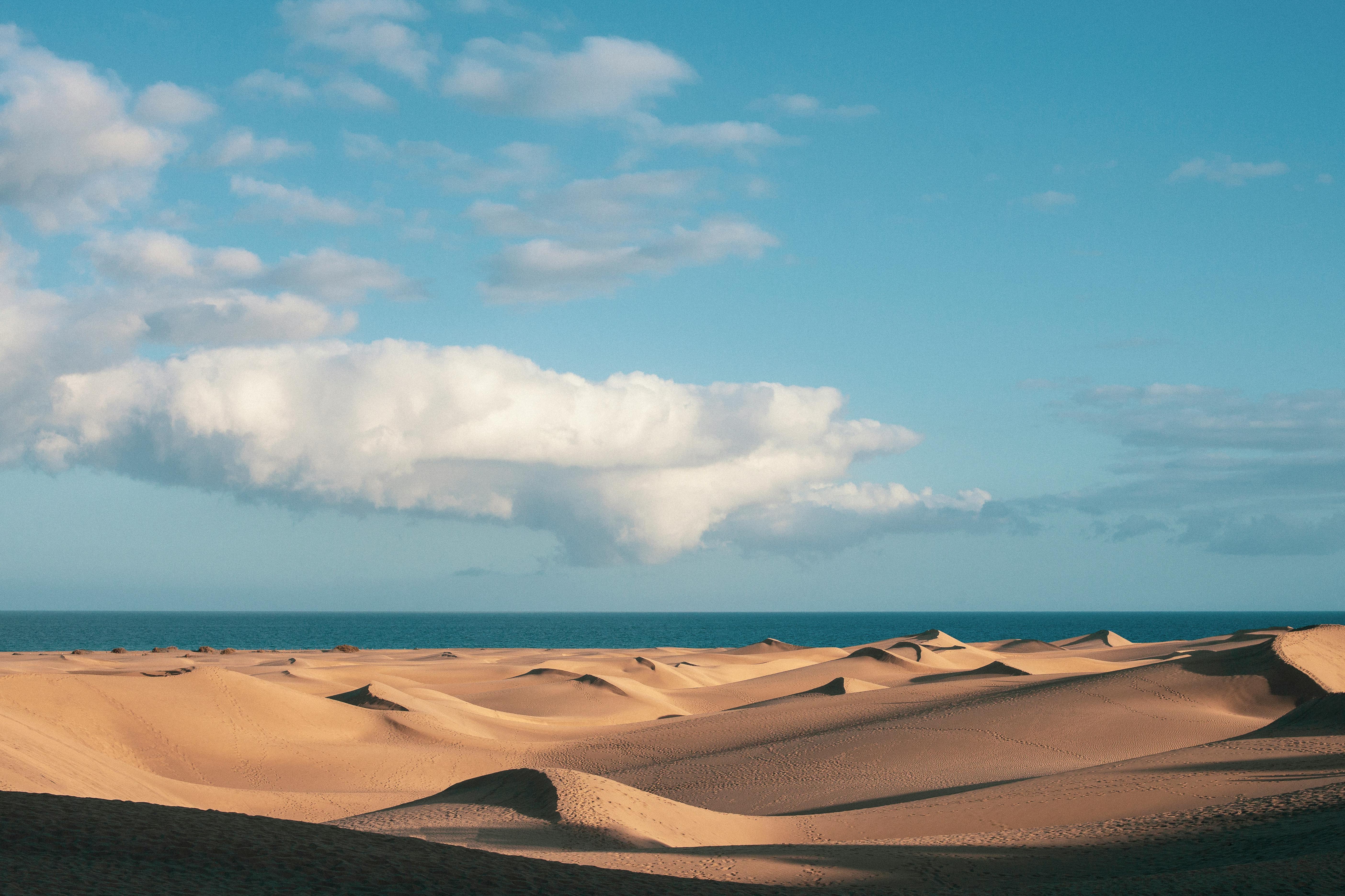 Golden desert dunes with scattered clouds meeting the ocean on a sunny day.
