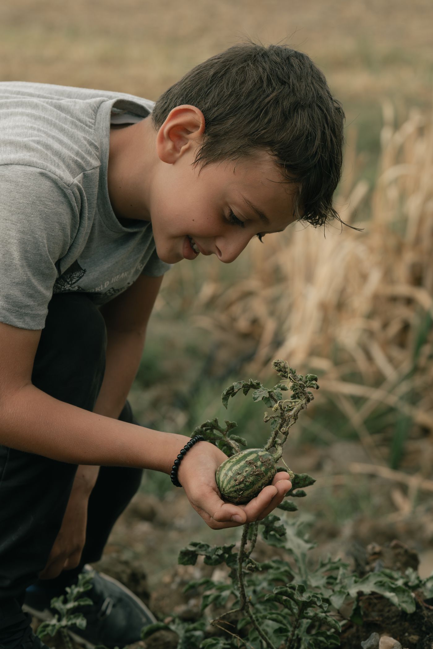 Illustrative stock photograph: Child observing plants in a garden