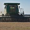 A large green combine harvester operates in a field, actively harvesting a vast crop of soybeans under a clear blue sky.