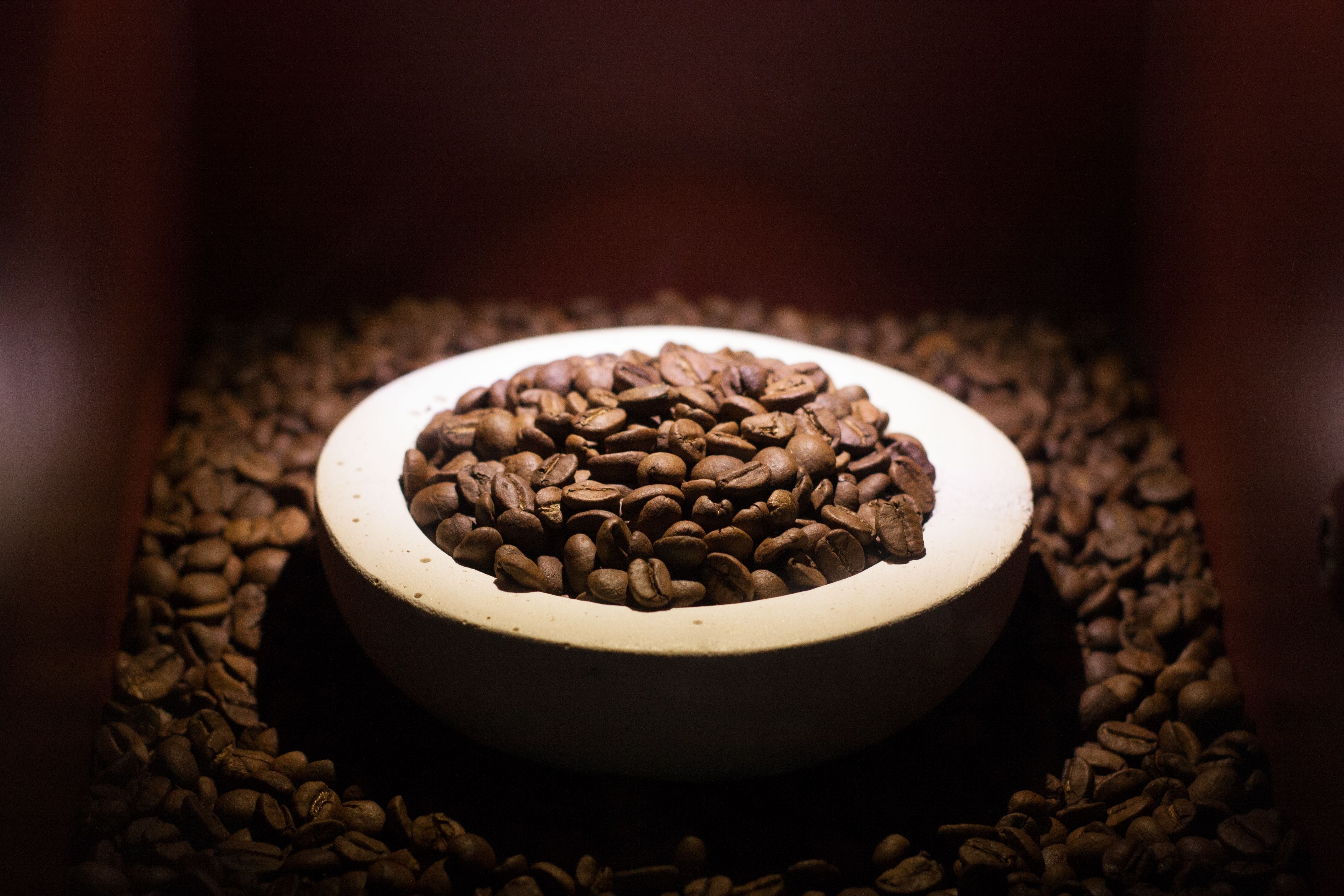 茶壶中的宁静