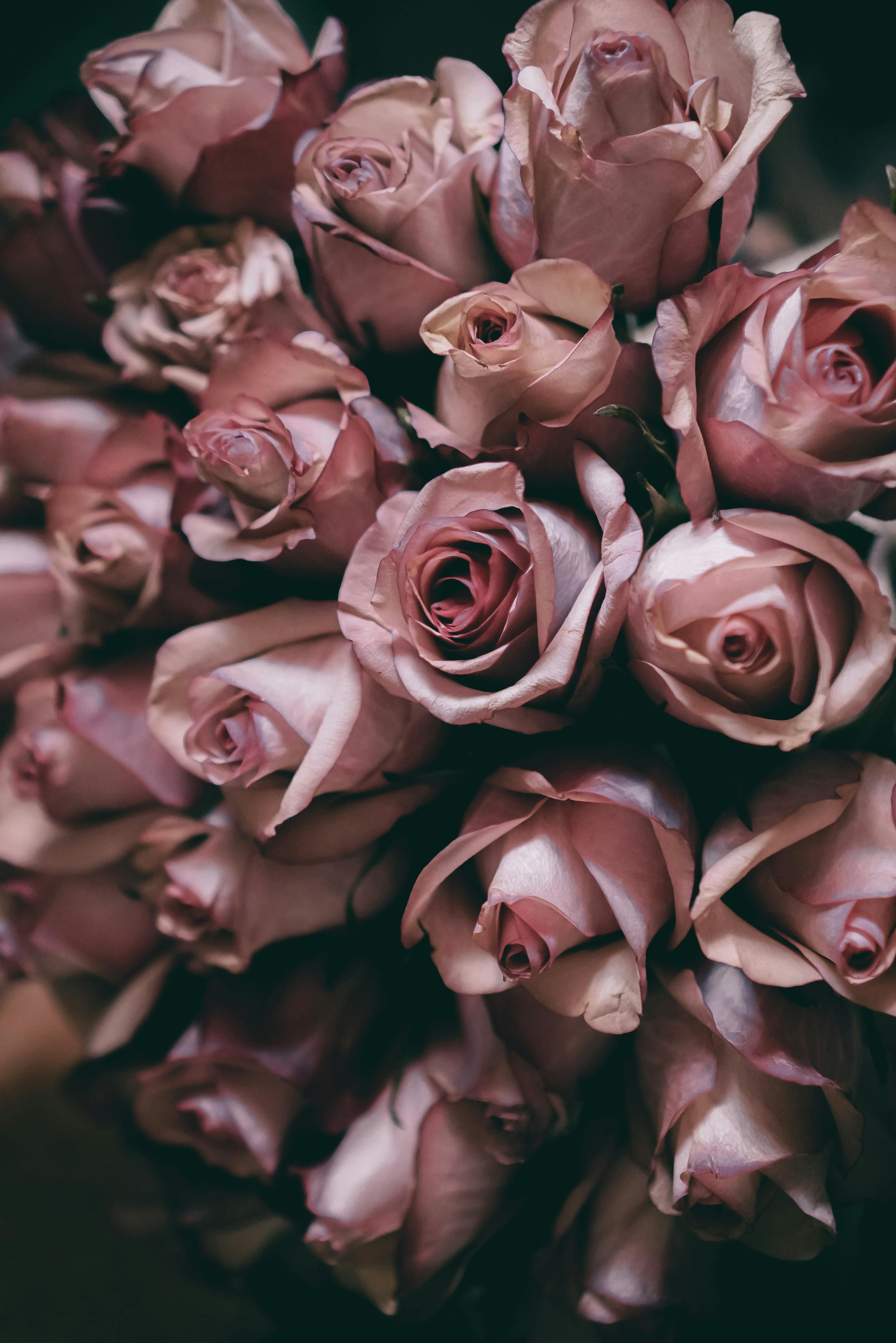 Beautiful arrangement of blush pink roses, perfect for weddings or romance.