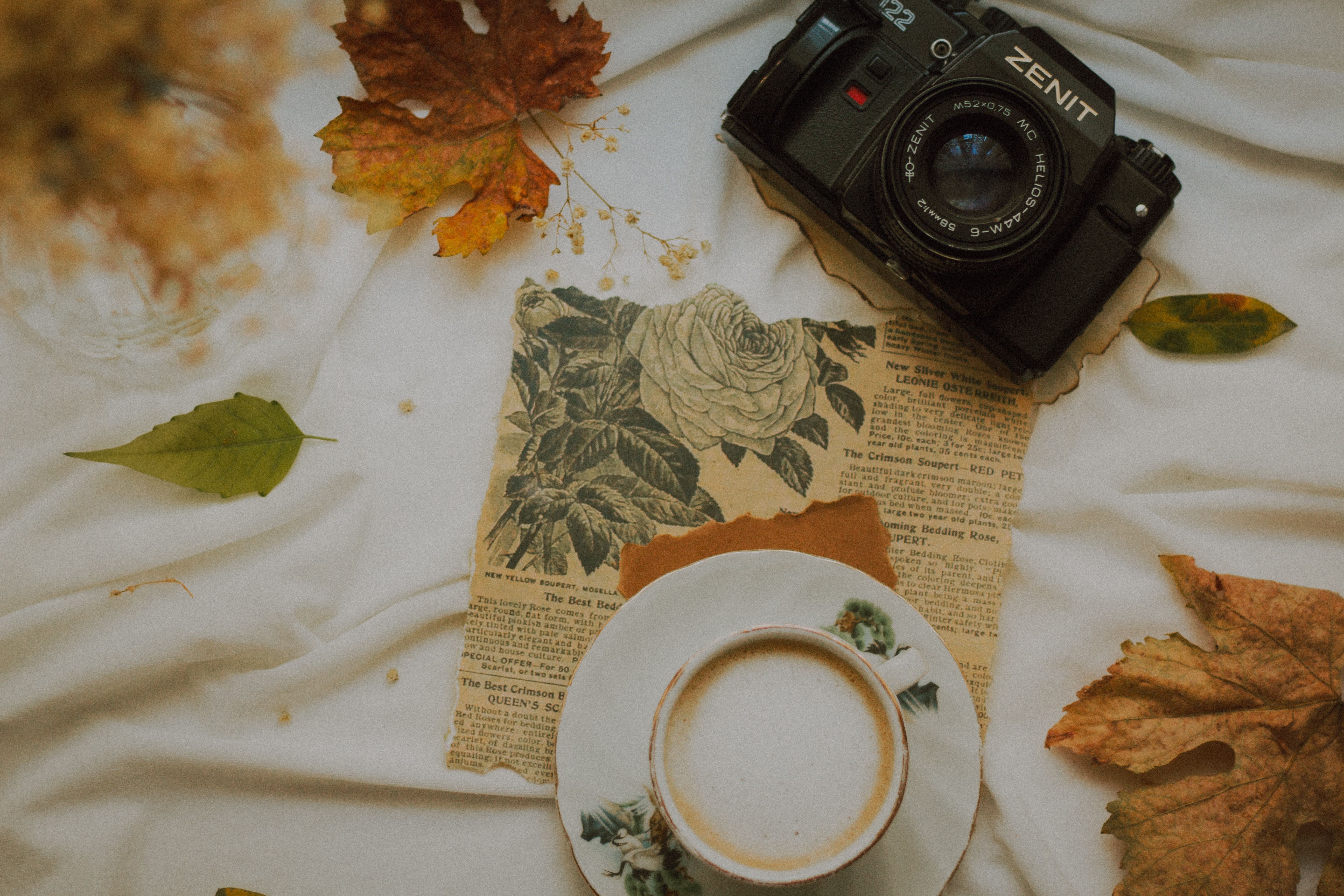 Photography Ideas to Break Your Creative Rut in 2025 — Photo by Sedanur Kunuk on Pexels