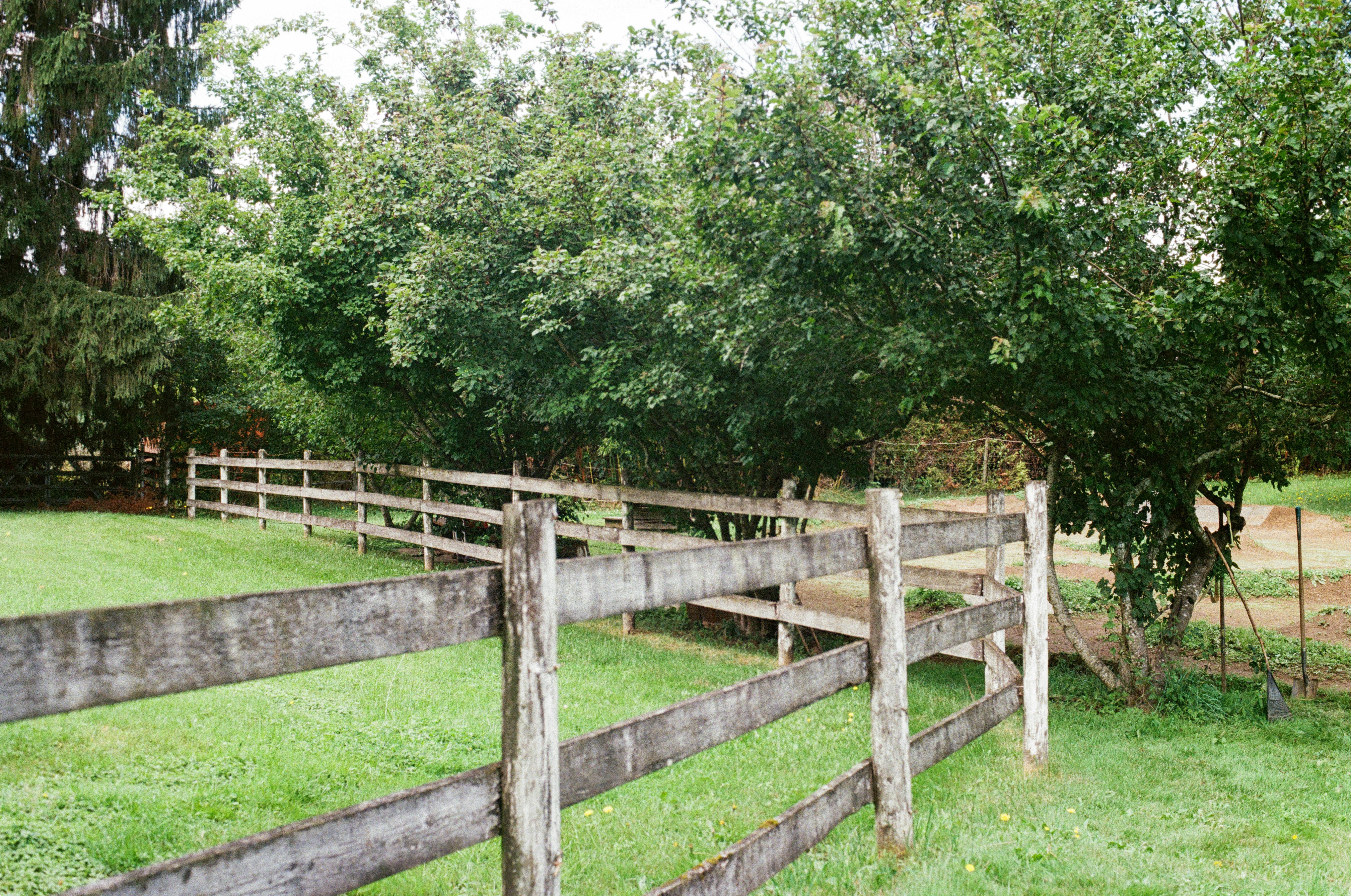 Campagne Tranquille, Clôture En Bois Et Verdure