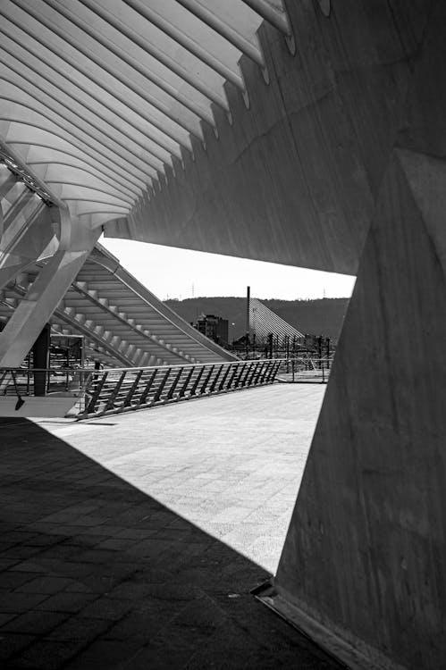Free stock photo of abstract, architecture, callatrava