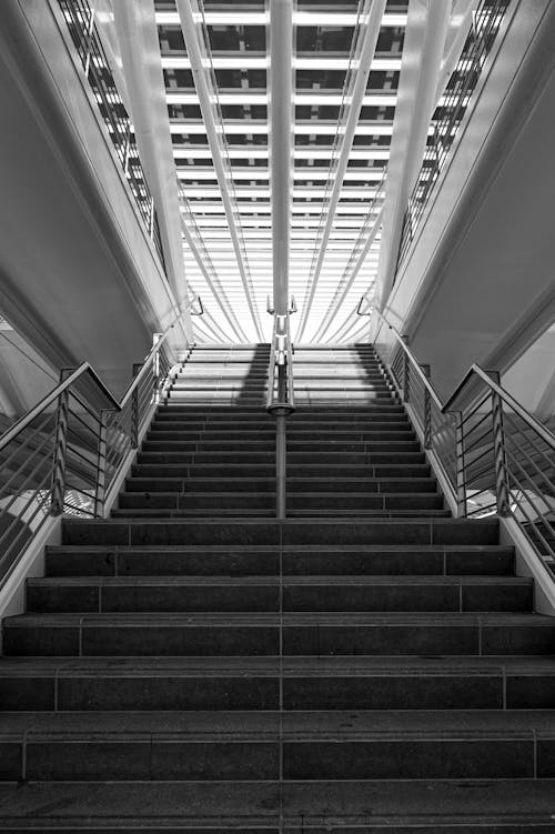 Free stock photo of abstract, architecture, callatrava