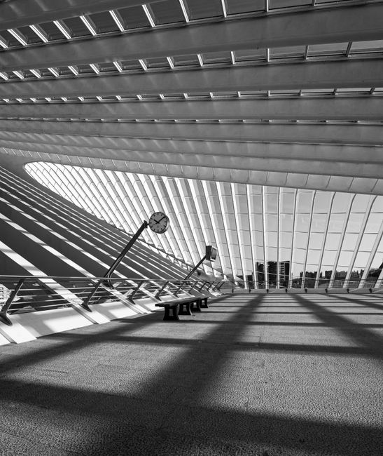 Sunlit geometric interior of Liège-Guillemins Station showcasing modern architecture in black and white.