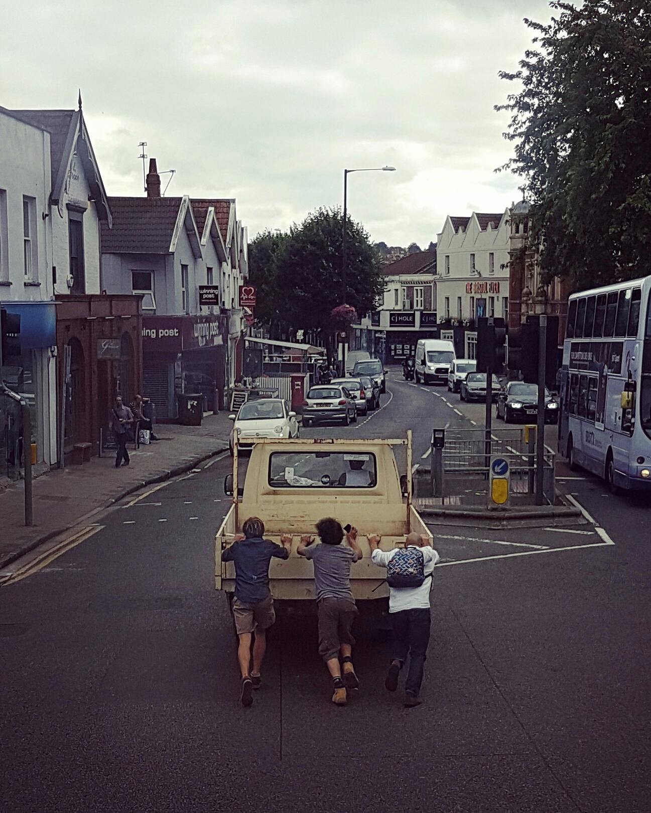 Free stock photo of animal pictures, avian, bird, birdwatching, bristol