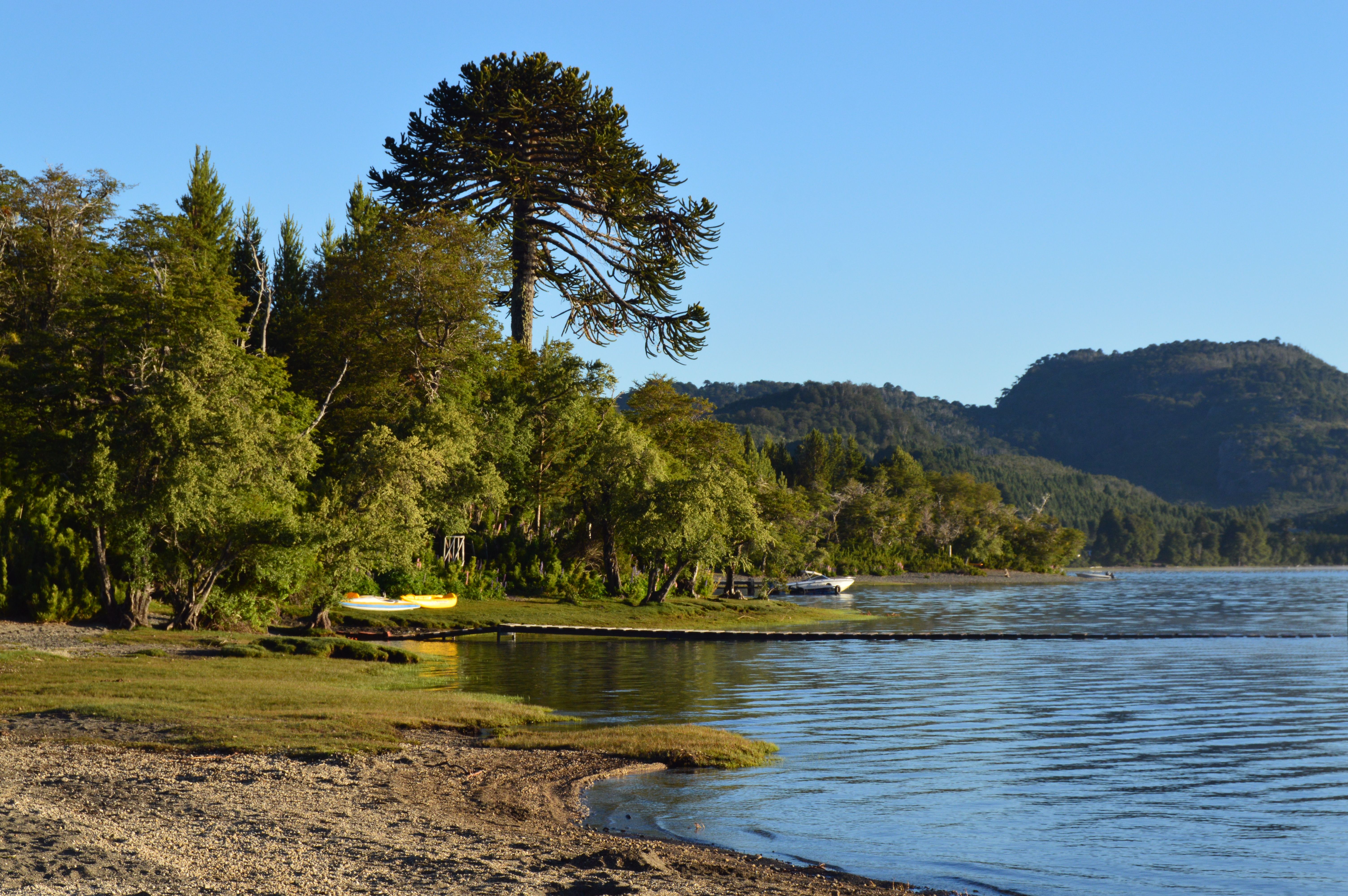 Peaceful view of a tranquil lake surrounded by lush forest and mountains during sunset.