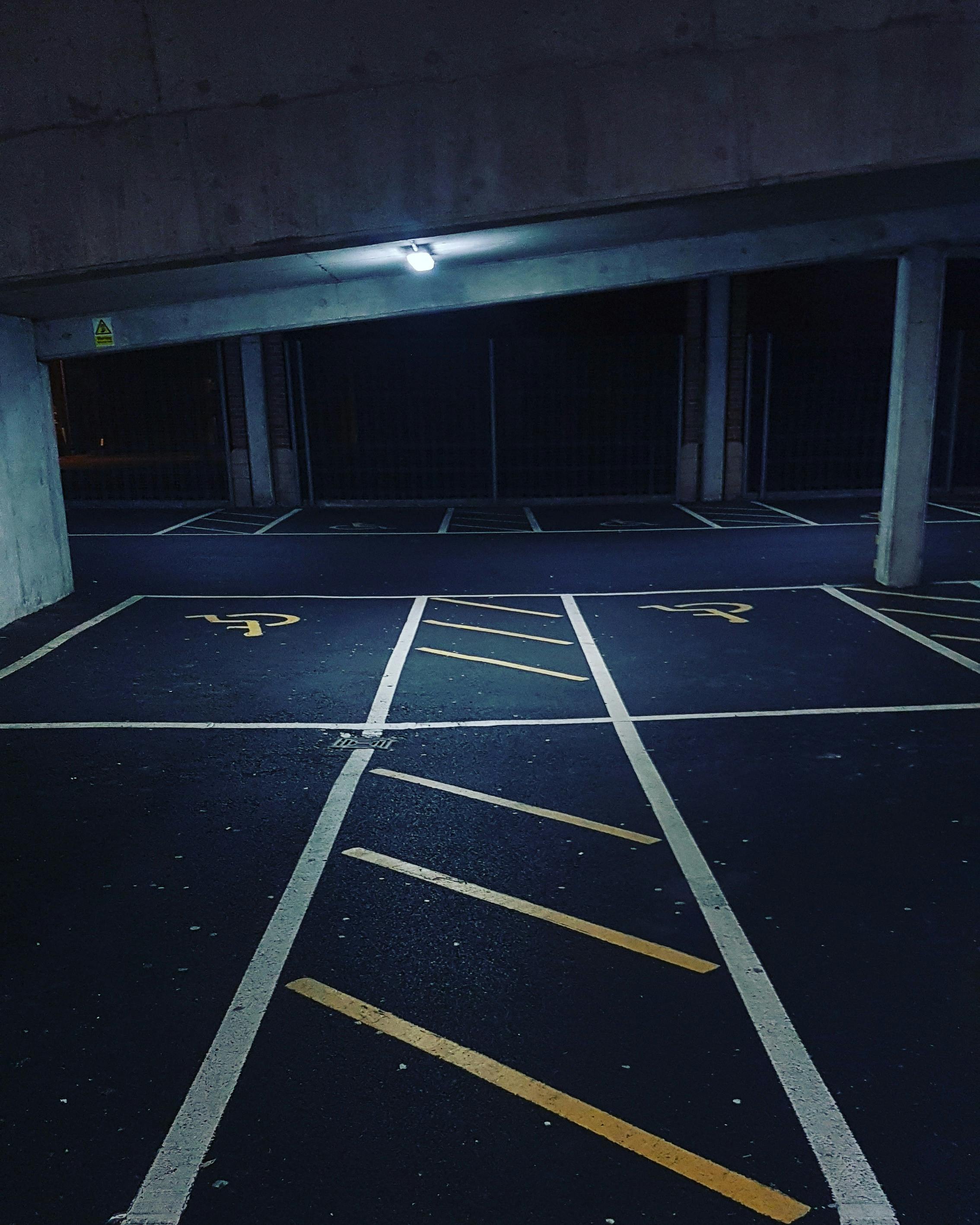 Free stock photo of animal pictures, avian, bird, birdwatching, bristol