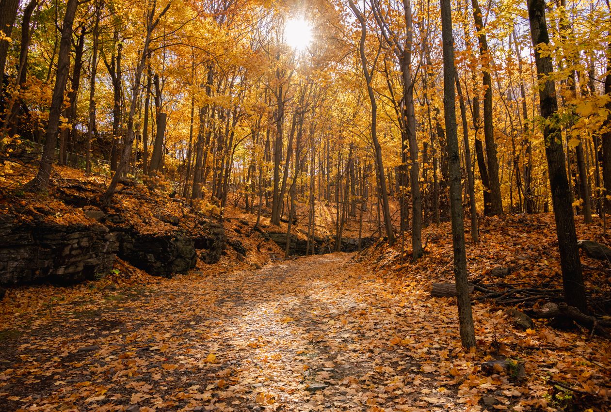 Granite Ridges and Silent Valleys: An Immersive Autumn Hike Through the Blue Hills Eastern Peaks