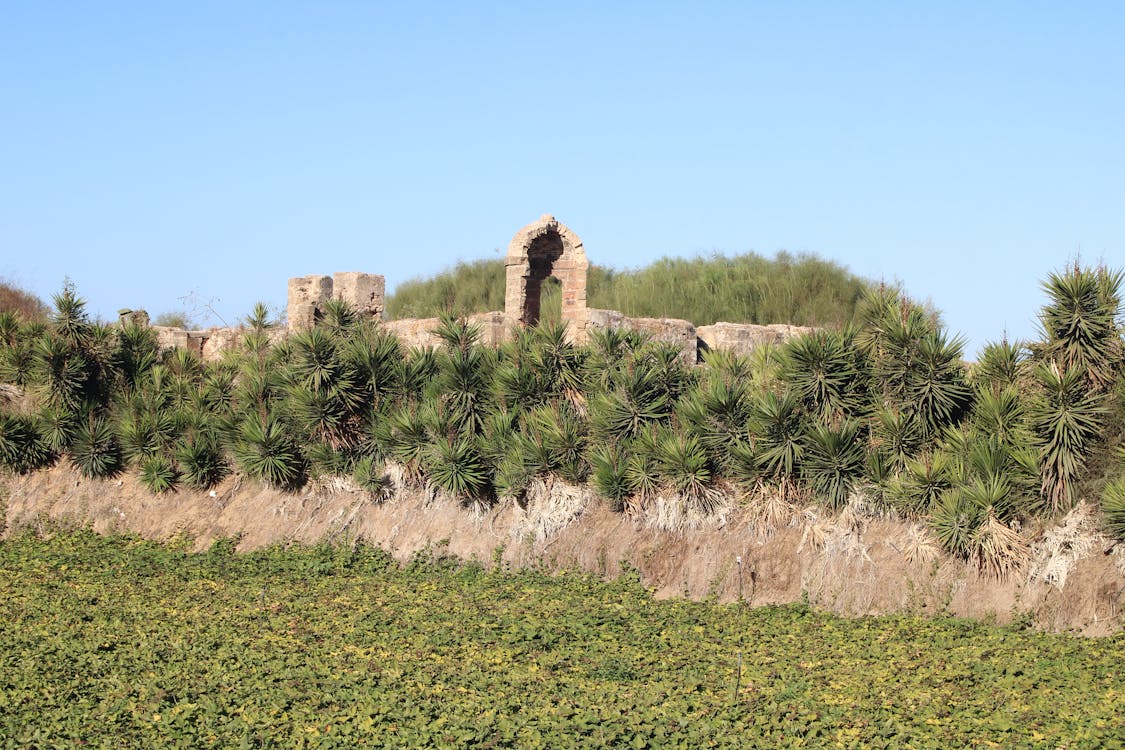 baluarte de San Salvador | fotografía 1