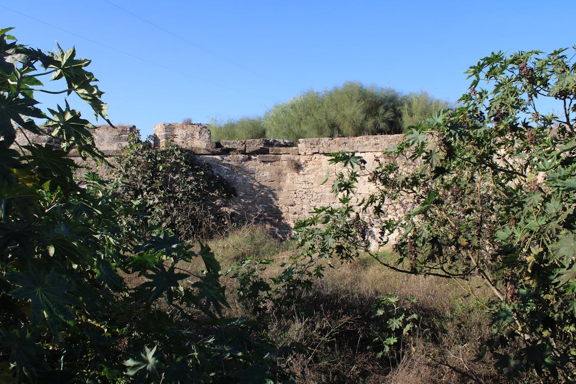 panorámica lateral del baluarte| fotografía 4