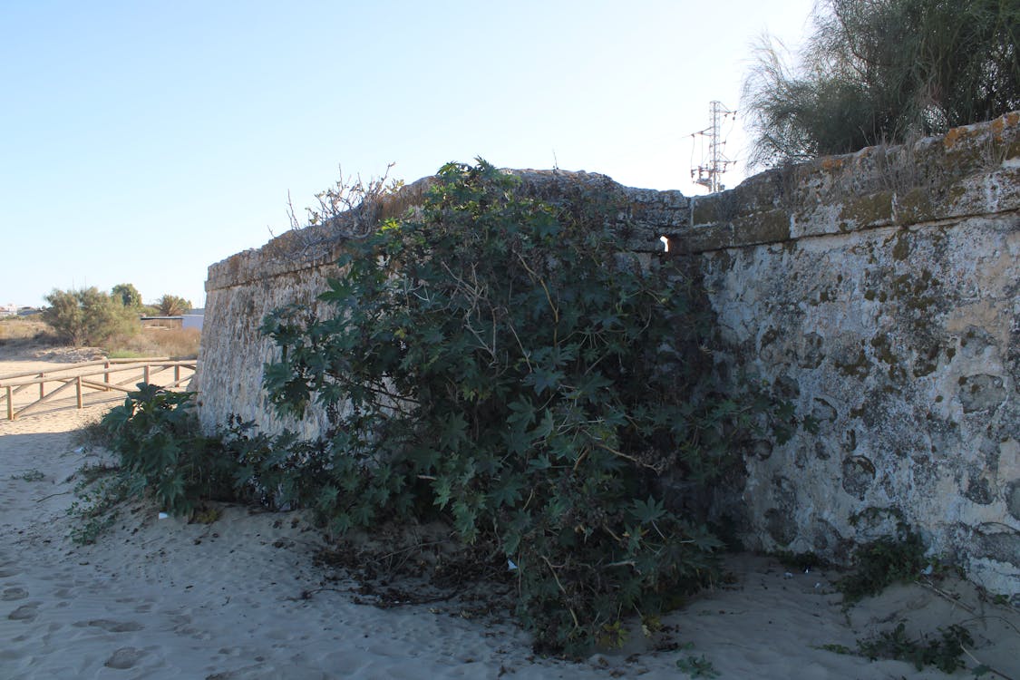 detalle de la fachada de la fortificación | fotografía 6