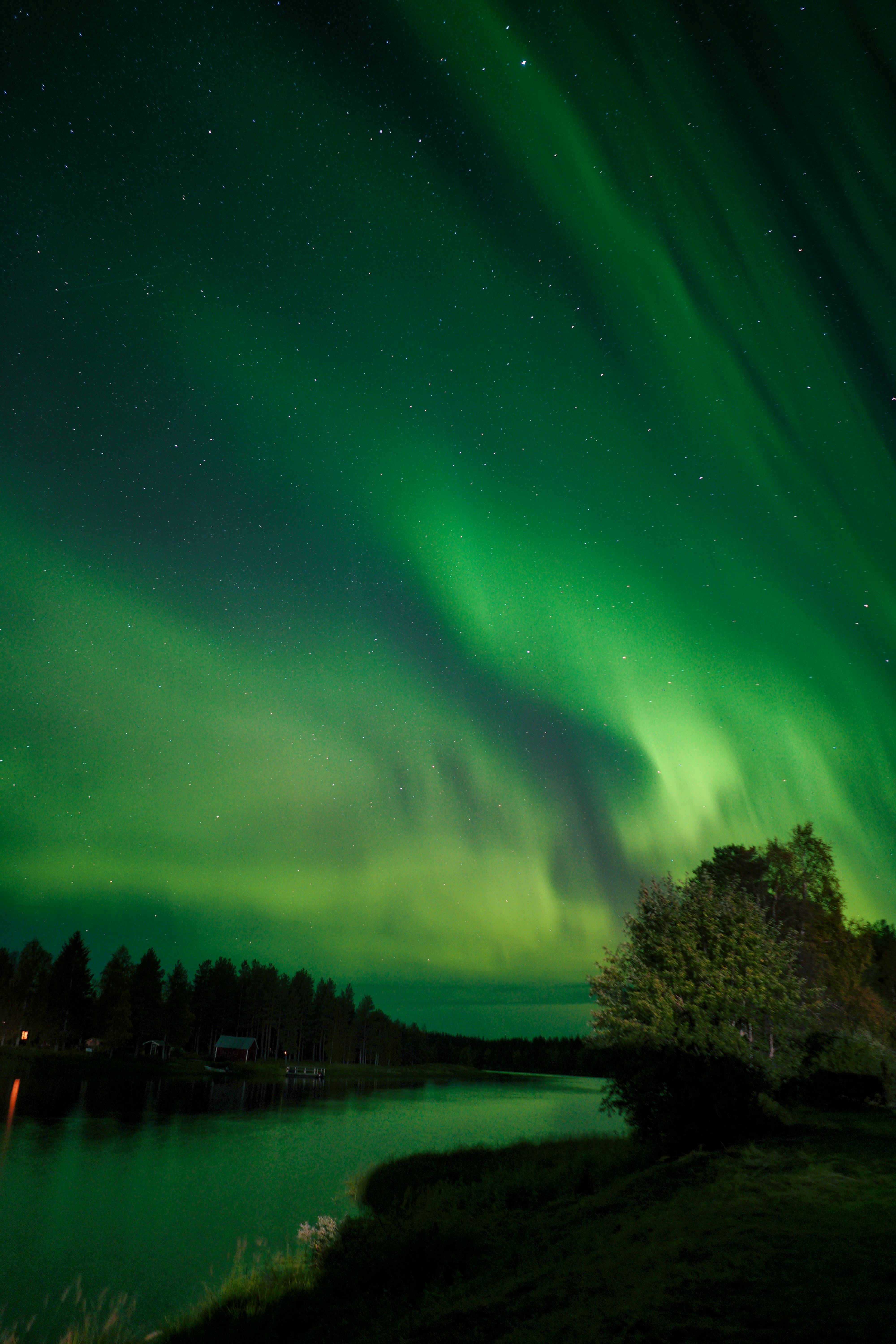 Stunning Aurora Borealis display over a serene forest and river at night, showcasing vivid green hues.