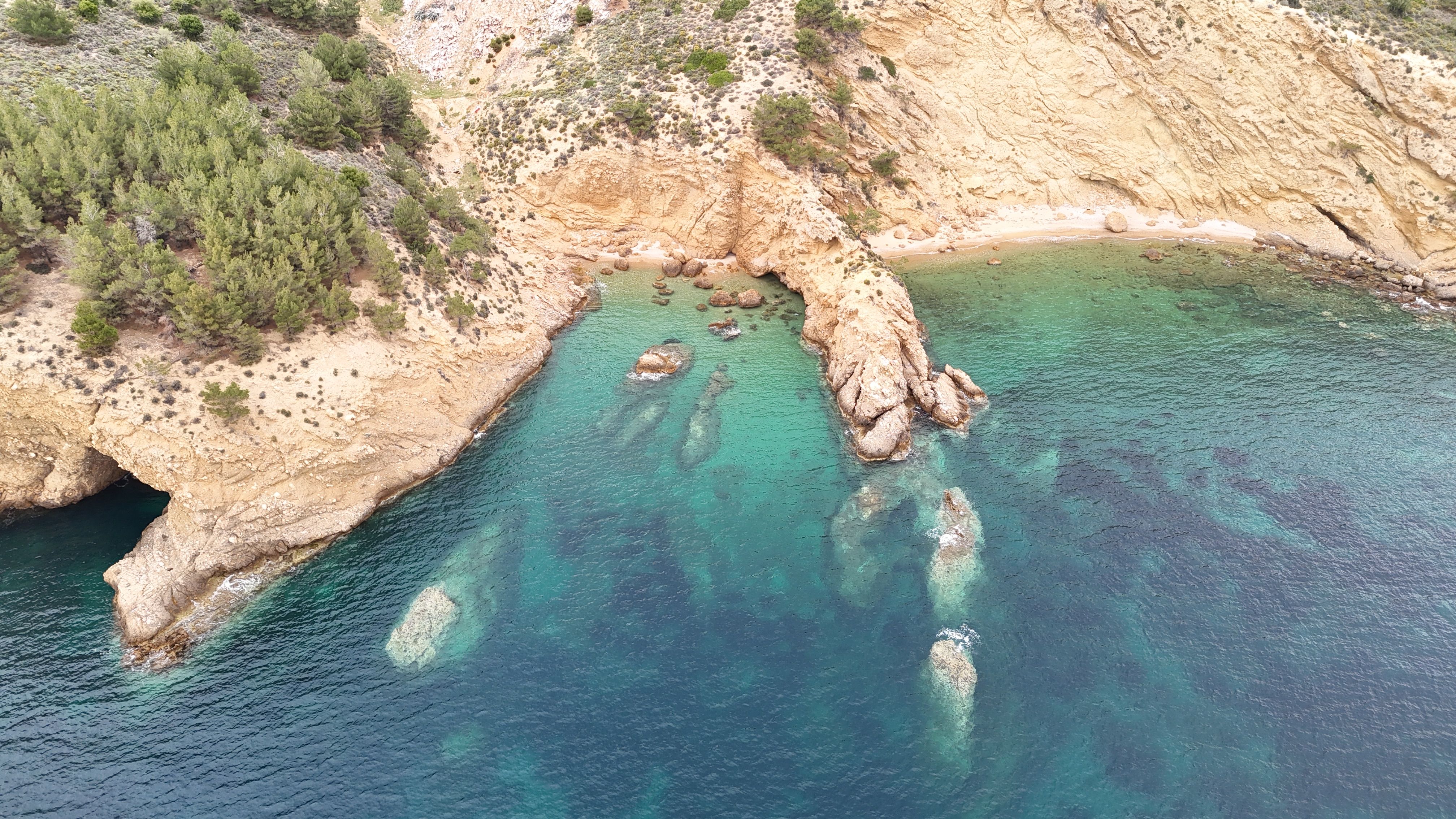 plesiosaurs
