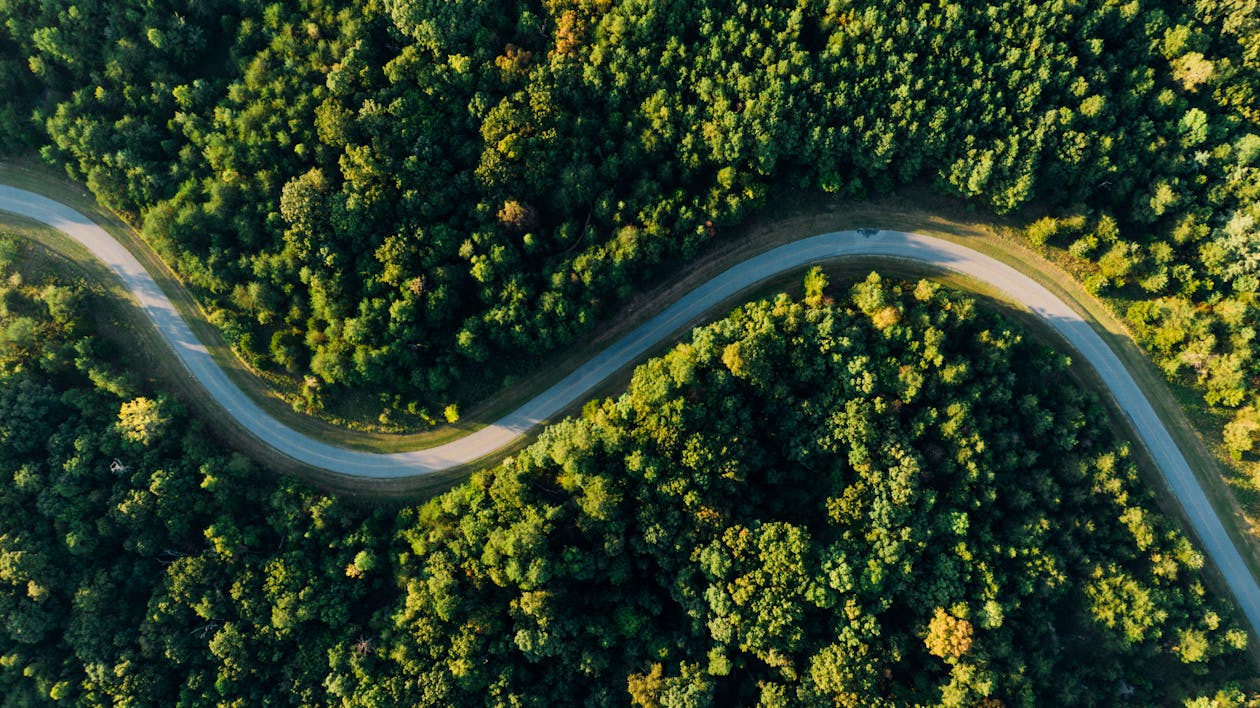 Foto Aérea De La Carretera Serpenteante Vacía Entre Bosques