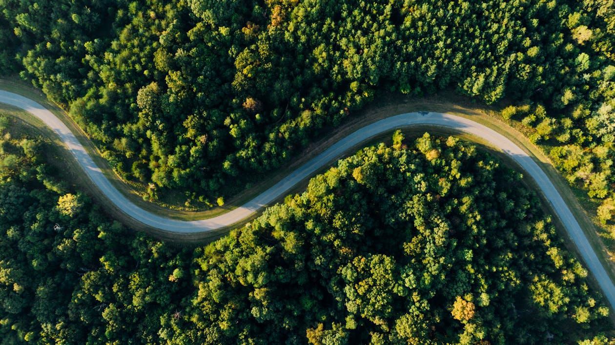 Free Aerial Photo of Empty Meandering Road In Between Forest Stock Photo