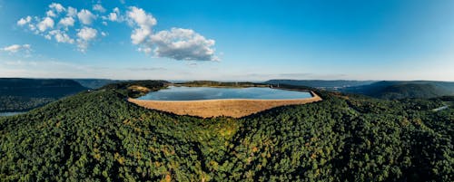 Безкоштовне стокове фото на тему «вода, Денне світло, дерева»