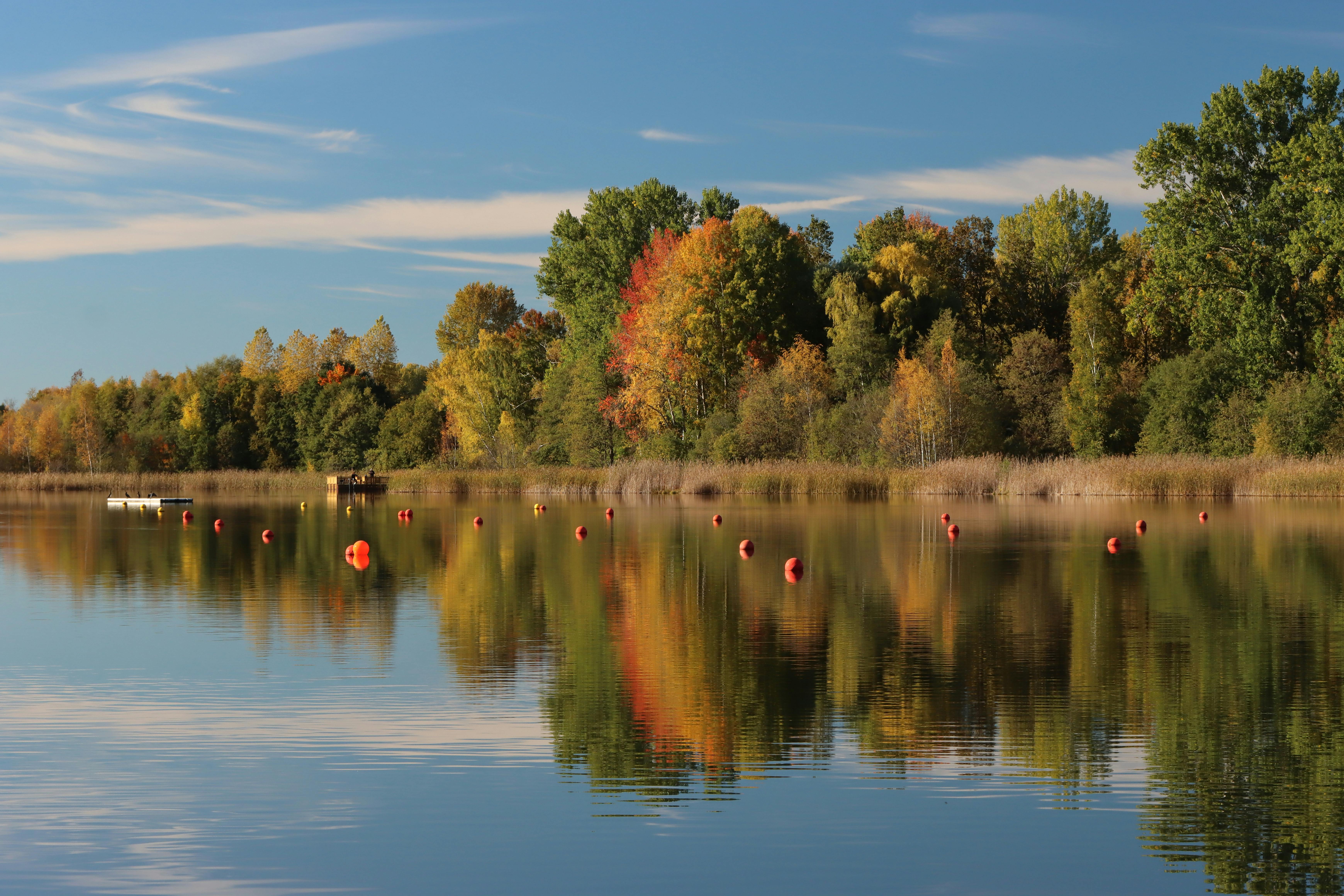 scenic autumn reflections in jonkoping sweden