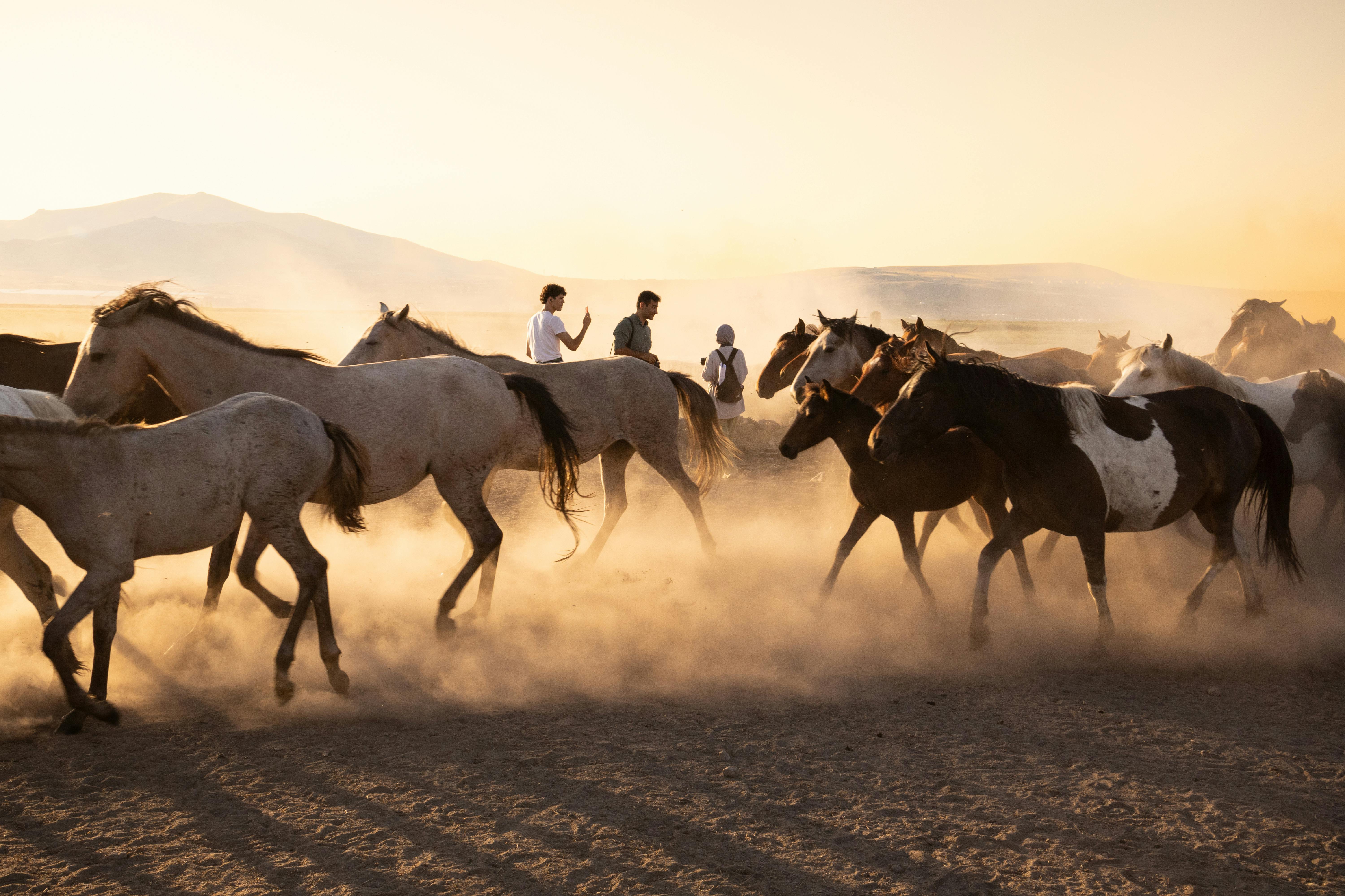 Türkiye’s population prefers Western lifestyle, survey shows — Photo by Betty on Pexels