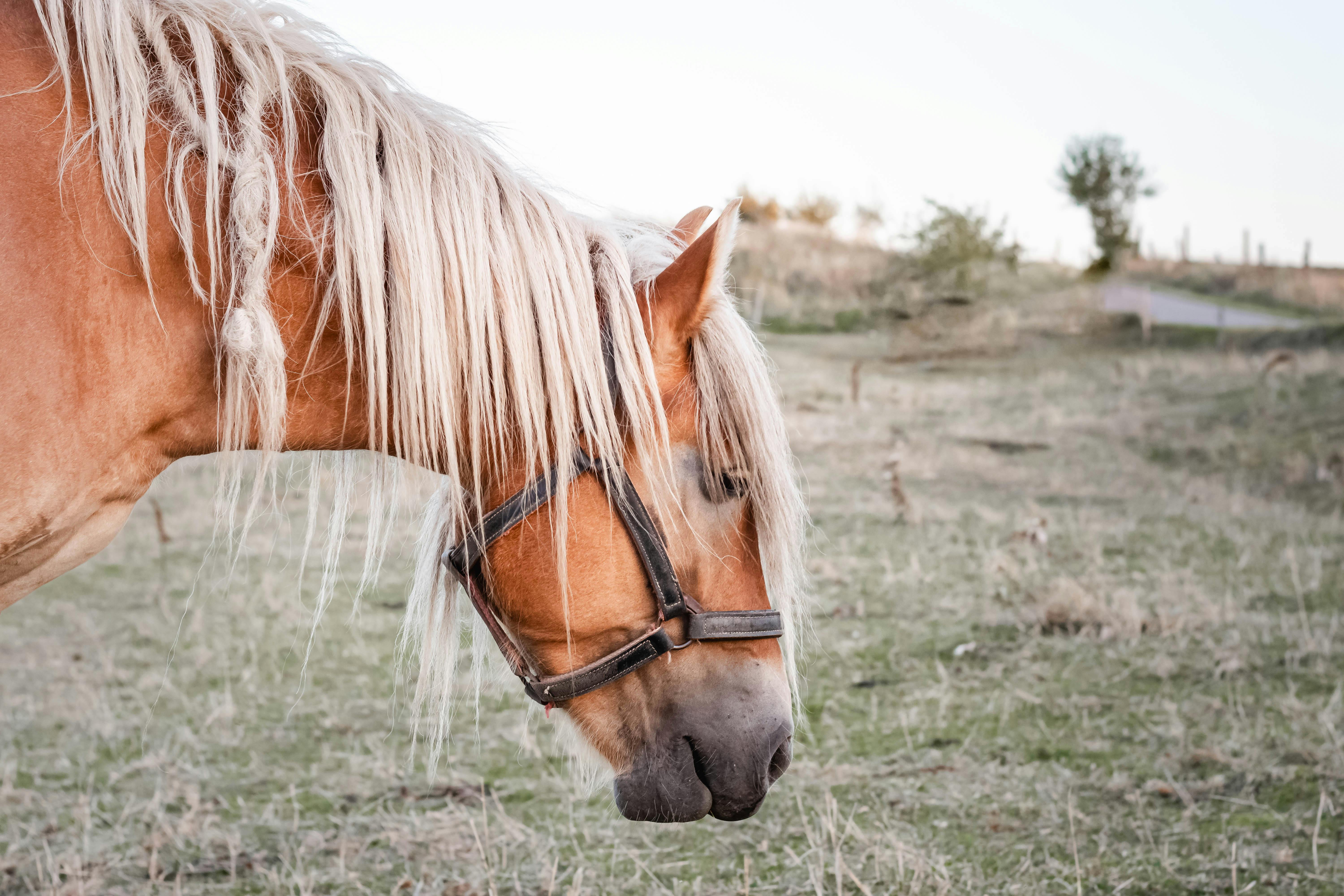 Landmarks in Shiroka Laka