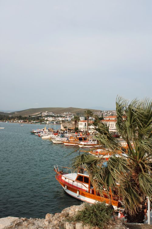 Free Harbor scene with docked boats, palm trees, and distant hills under a clear sky. Stock Photo