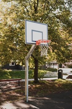 A basketball hoop in an Oslo park surrounded by lush greenery, captured in natural daylight.