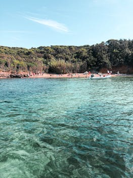 田园诗般的海滩上，清澈的绿松石海水与郁郁葱葱的绿色植物相映成趣，人们正惬意地享受着阳光