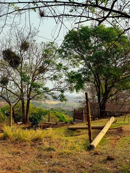 Tranquil rural scenery showing trees and open countryside. Peaceful setting.