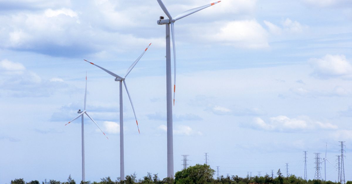 Grupo Terra impulsa proyectos energéticos enfocados en sostenibilidad y competitividad industrial regional Grupo Terra impulsa proyectos energéticos enfocados en sostenibilidad y competitividad industrial regional