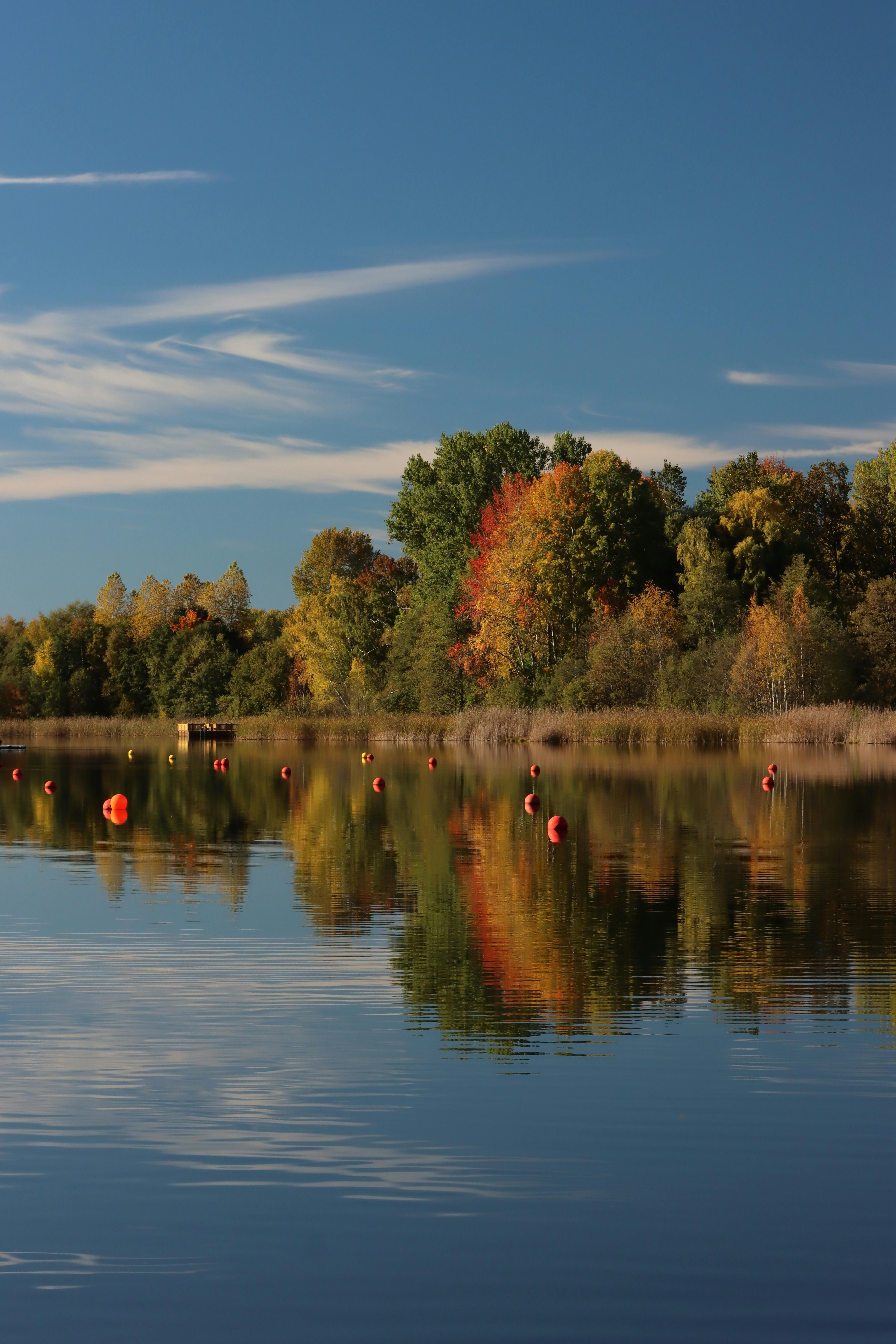 scenic autumn reflection in jonkoping sweden