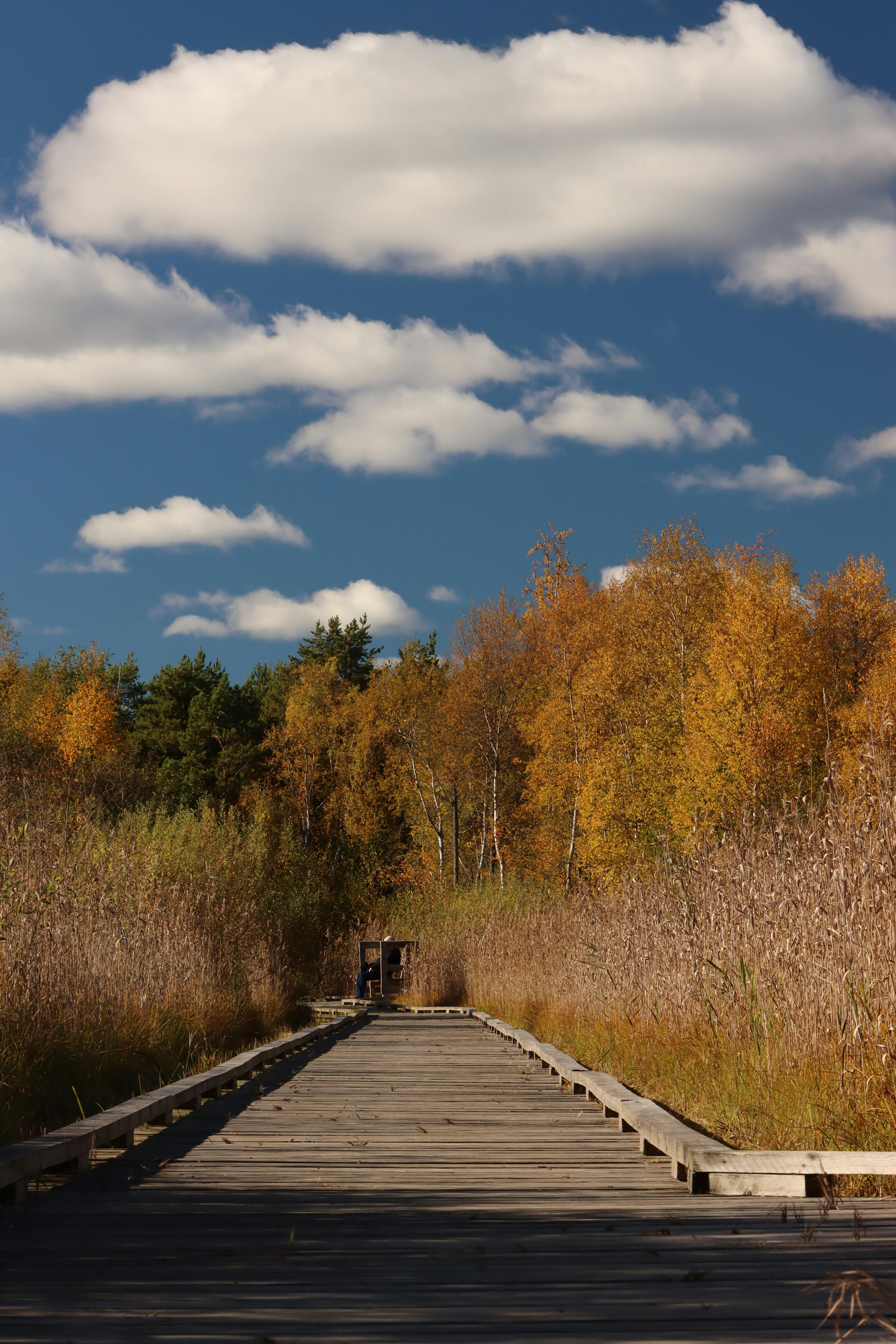 scenic autumn pathway in jonkoping sweden