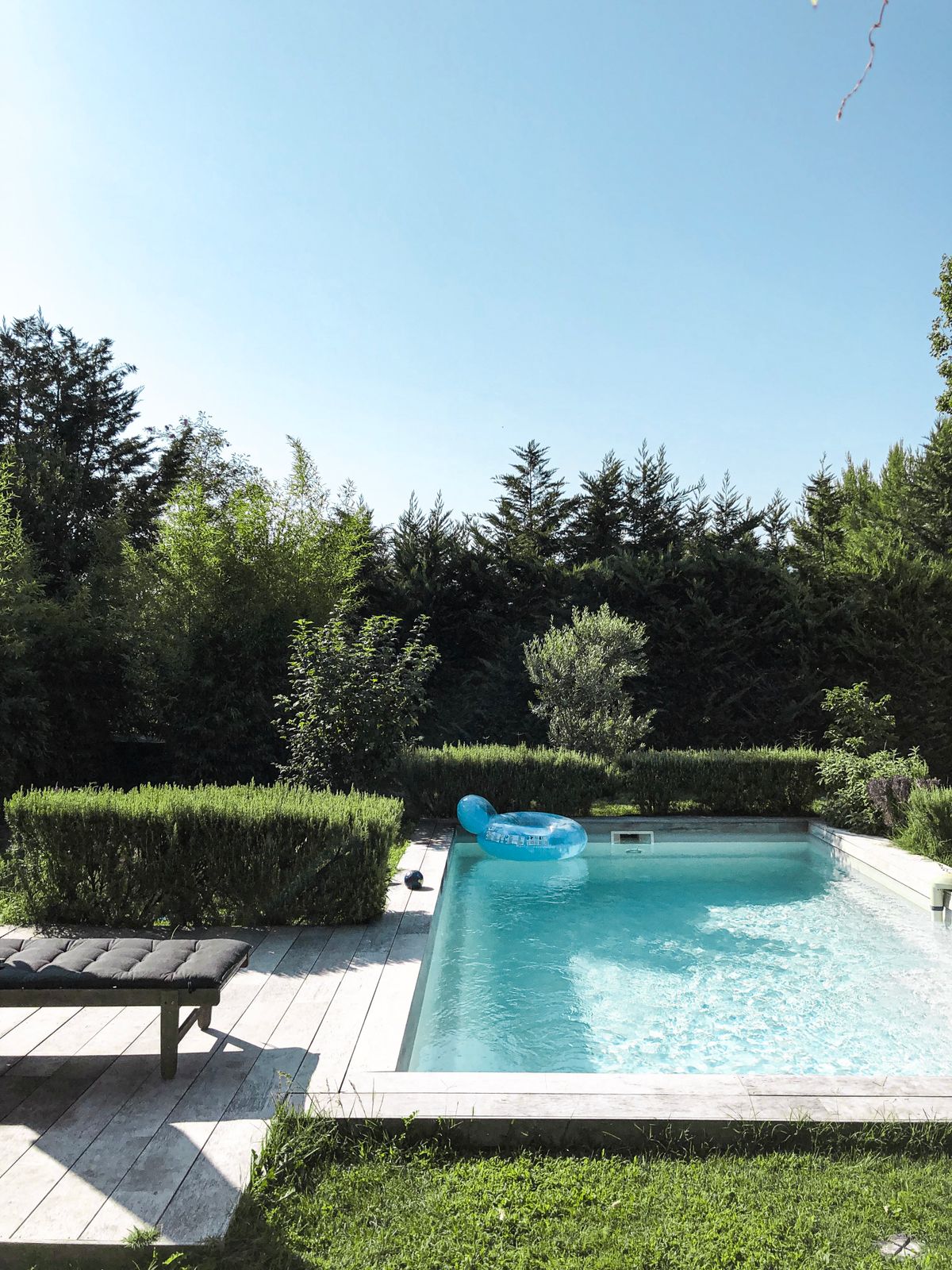 Traditional backyard pool surrounded by green lawn under a clear blue sky