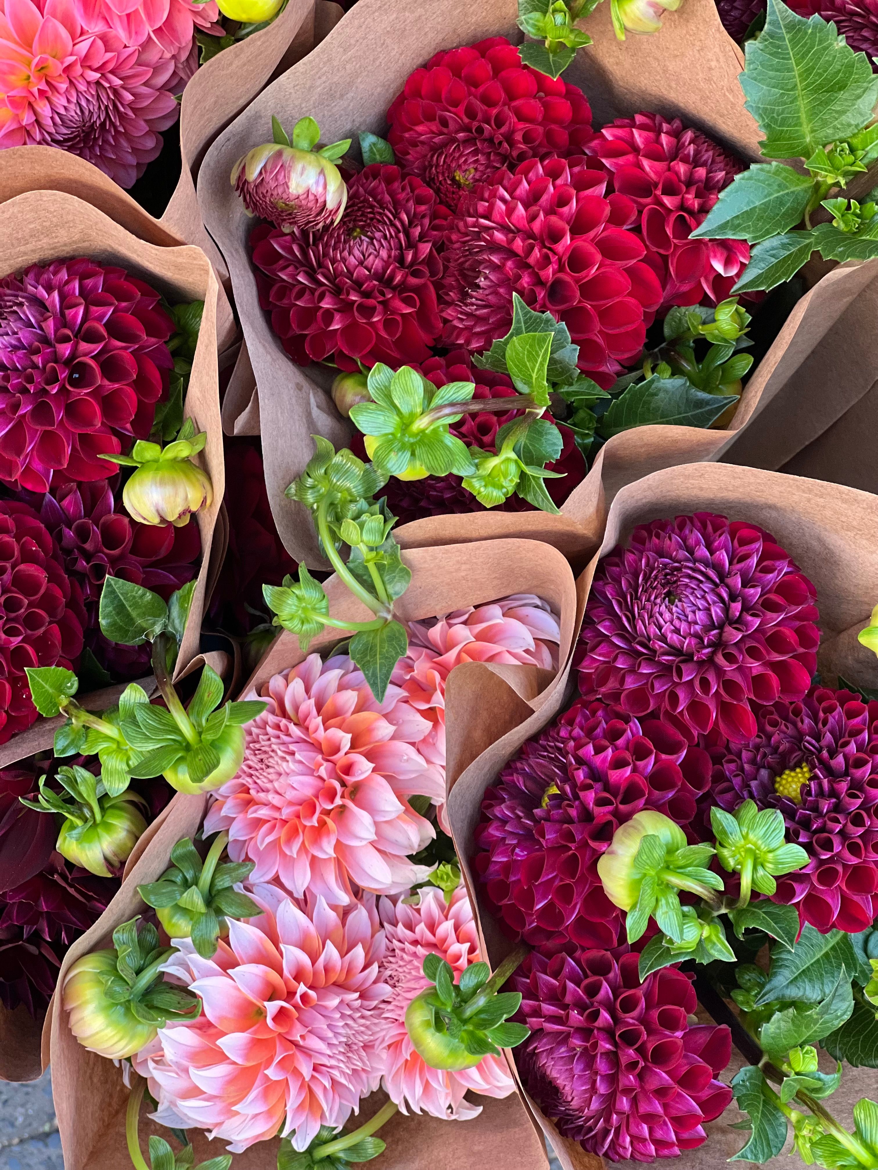 Rows of matching wrapped bouquets ready for delivery