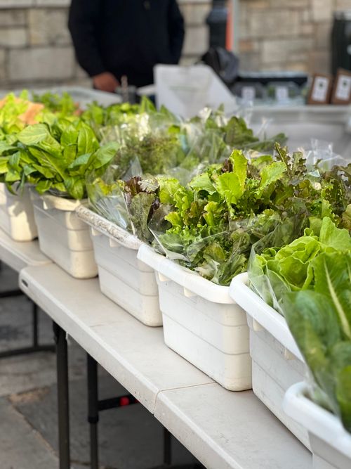 Free Variety of fresh organic greens displayed at a local farmers market. Ideal for healthy lifestyle. Stock Photo