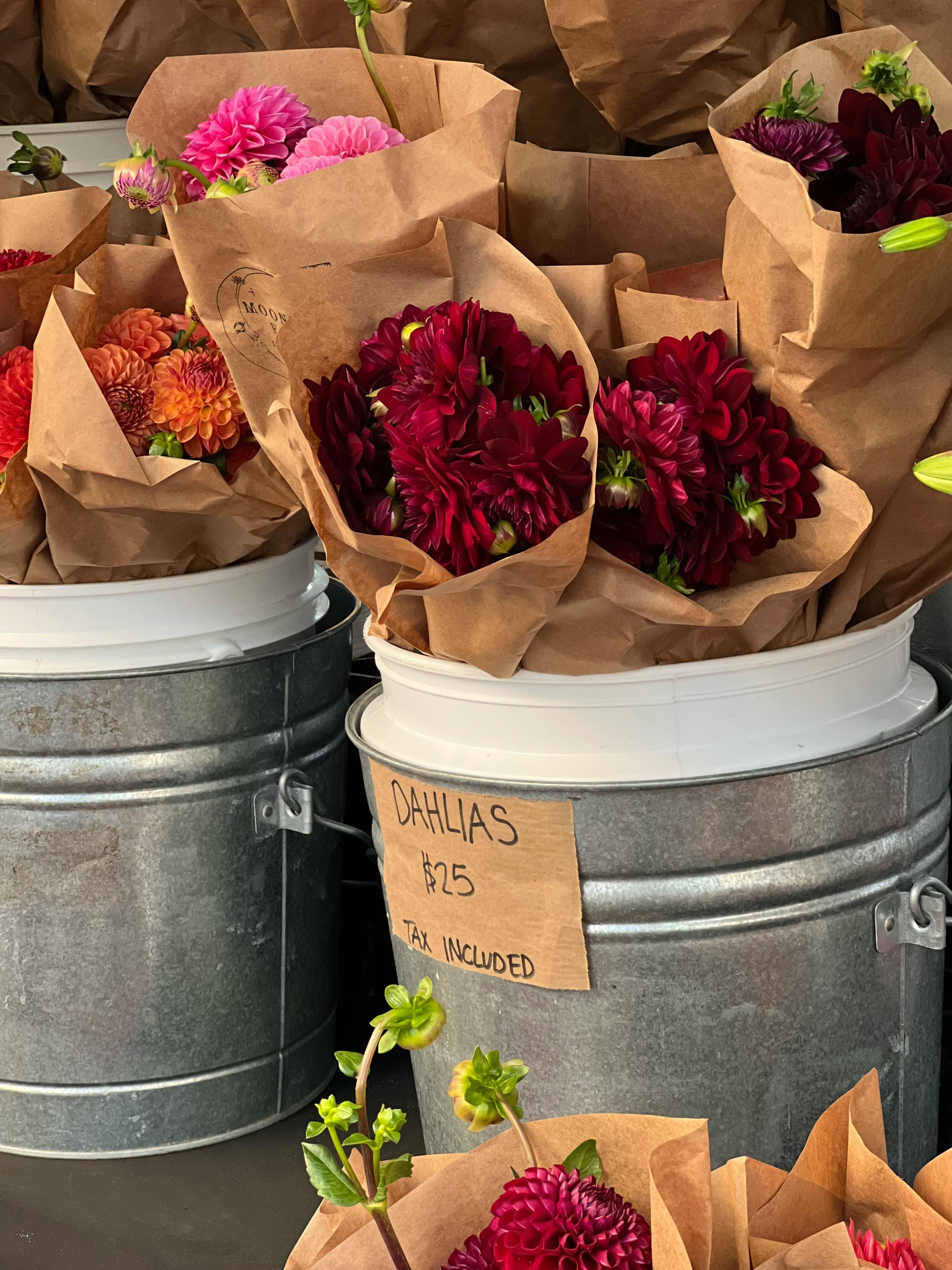 Include Tumblr in Your Social Marketing Approach