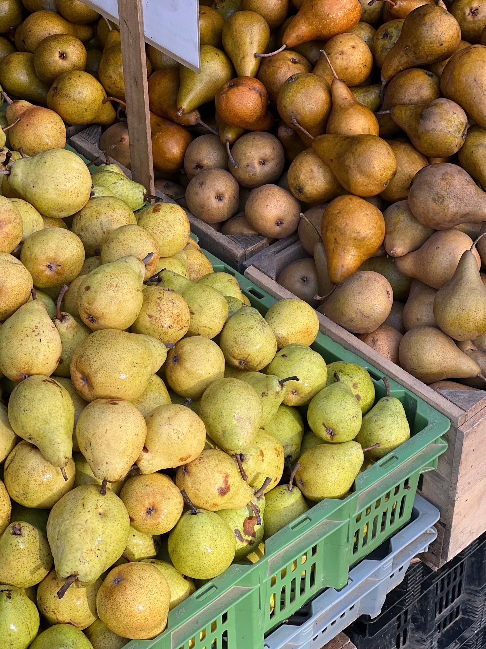 Pile of Ripe Pears · Free Stock Photo