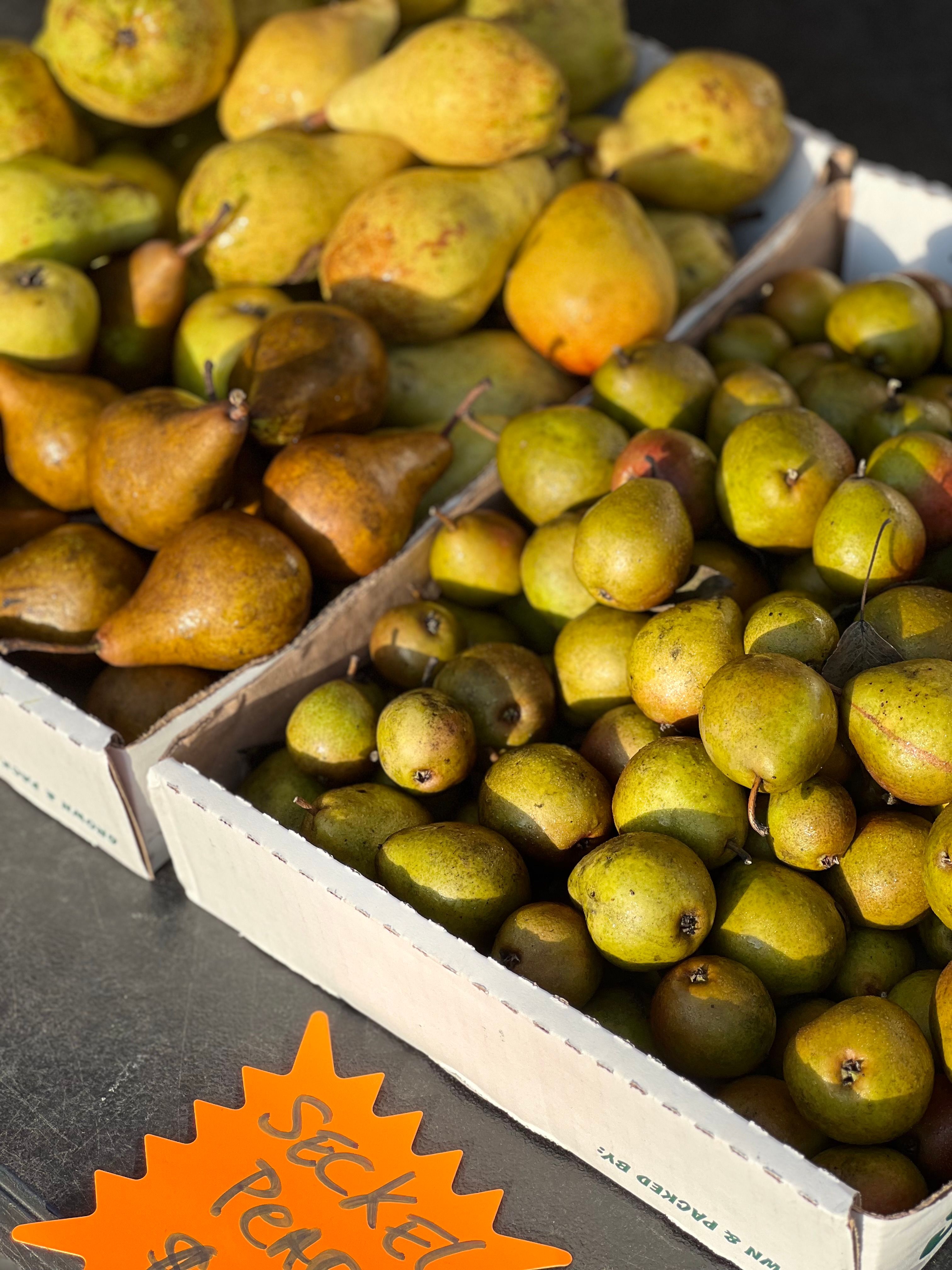 Assorted Pears at an Outdoor Market · Free Stock Photo