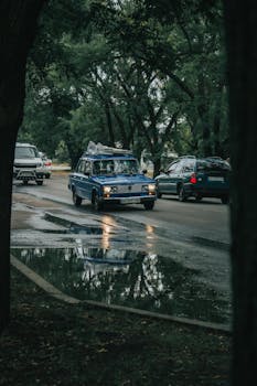 一辆在雨天行驶的老爷车，倒映在被郁郁葱葱的树木包围的水坑里