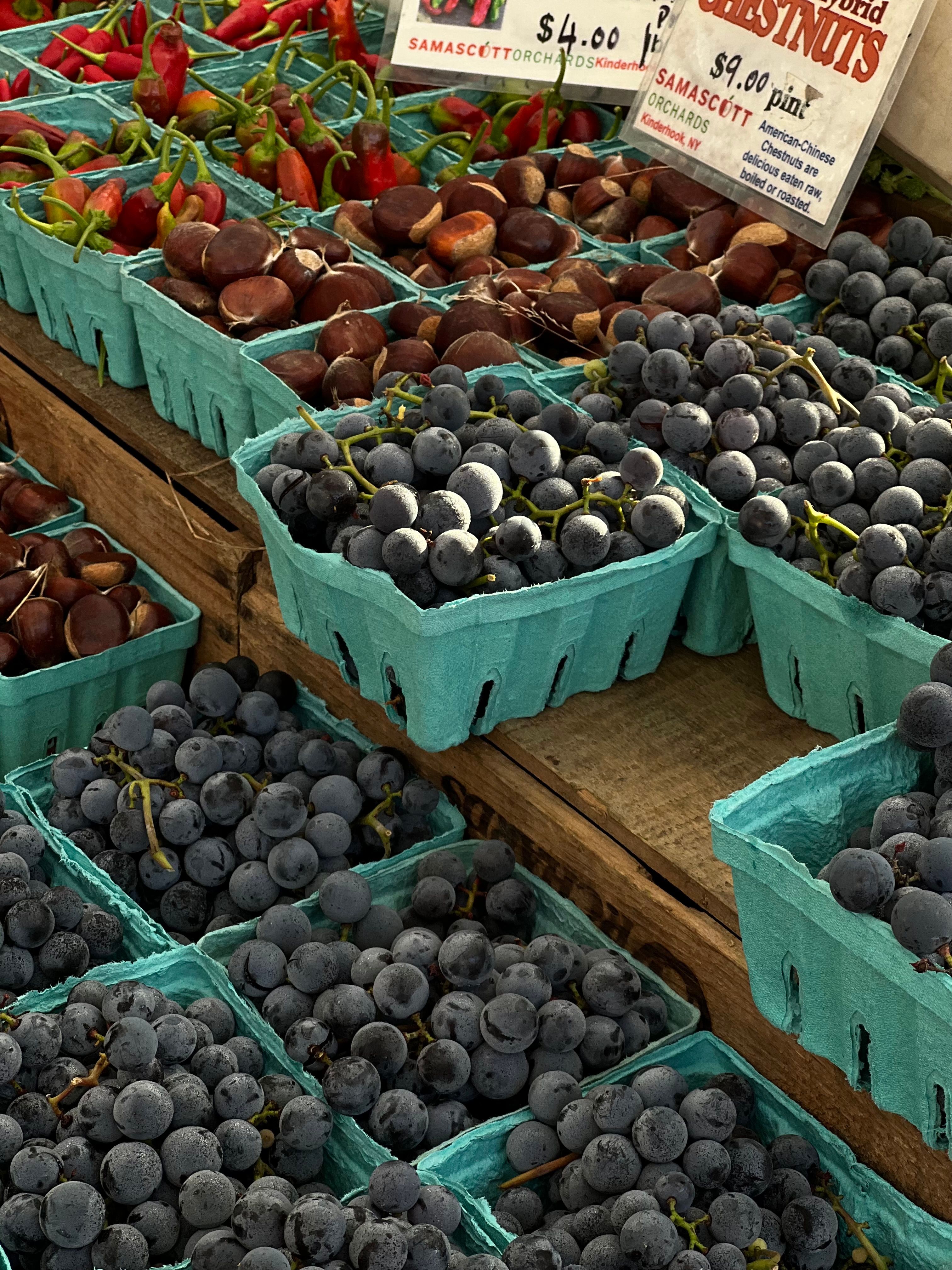 Hortifruti da Estação (kg)