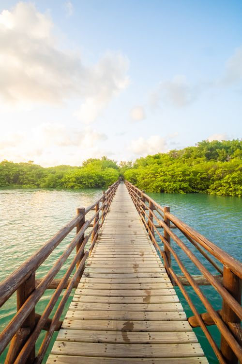 Free Beautiful wooden bridge spanning lush greenery and calm blue waters under a bright sky. Stock Photo