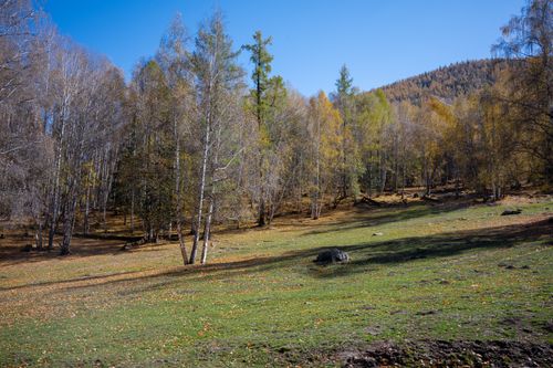 Free Vibrant autumn forest scene depicting a sunlit landscape with colorful foliage and open meadow. Stock Photo