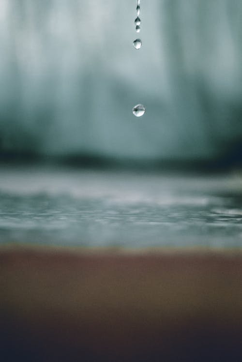 Free Water Drop Selective-focus Photography Stock Photo