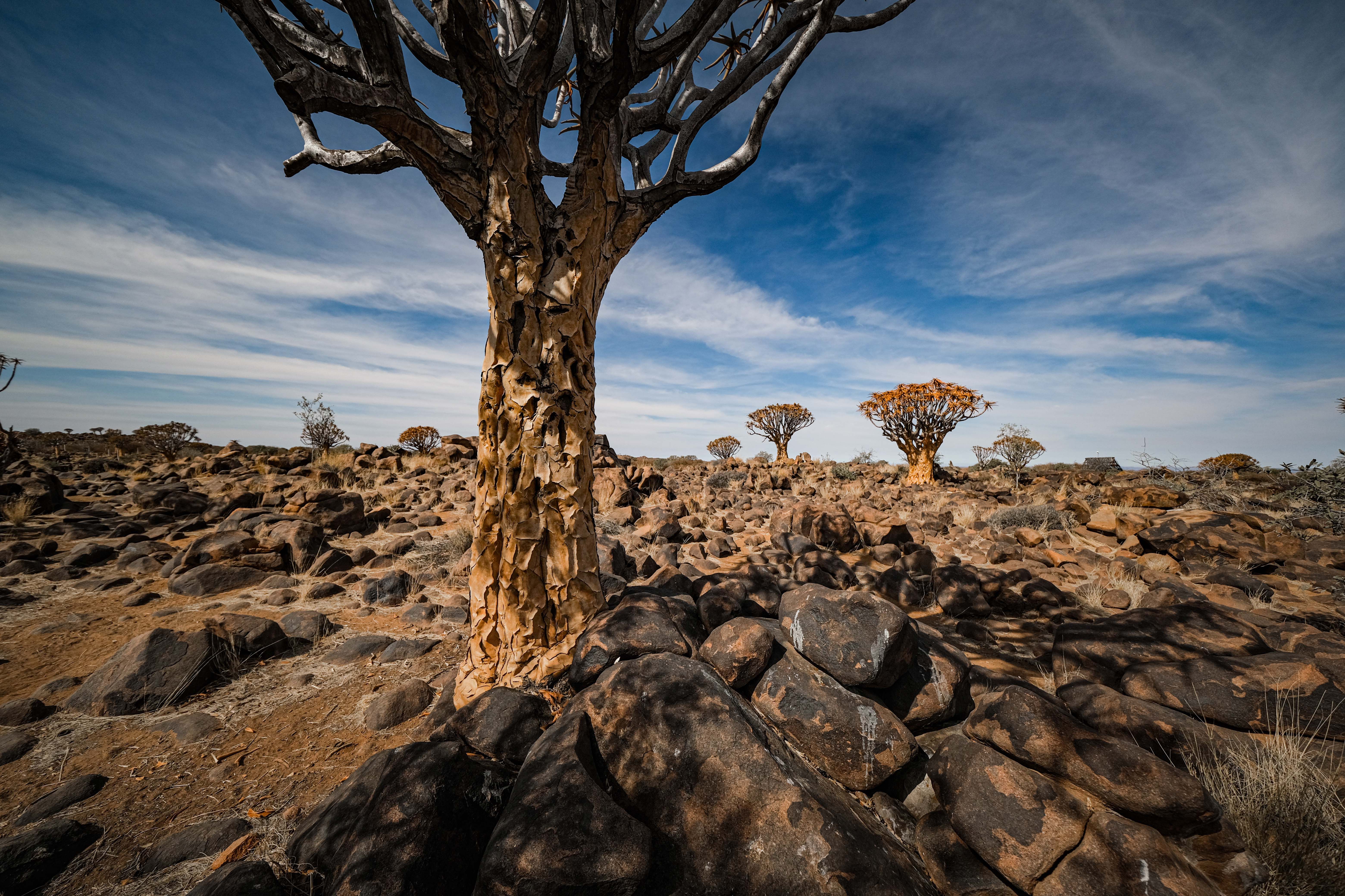 Discovering Namibia Through Stamp Collecting