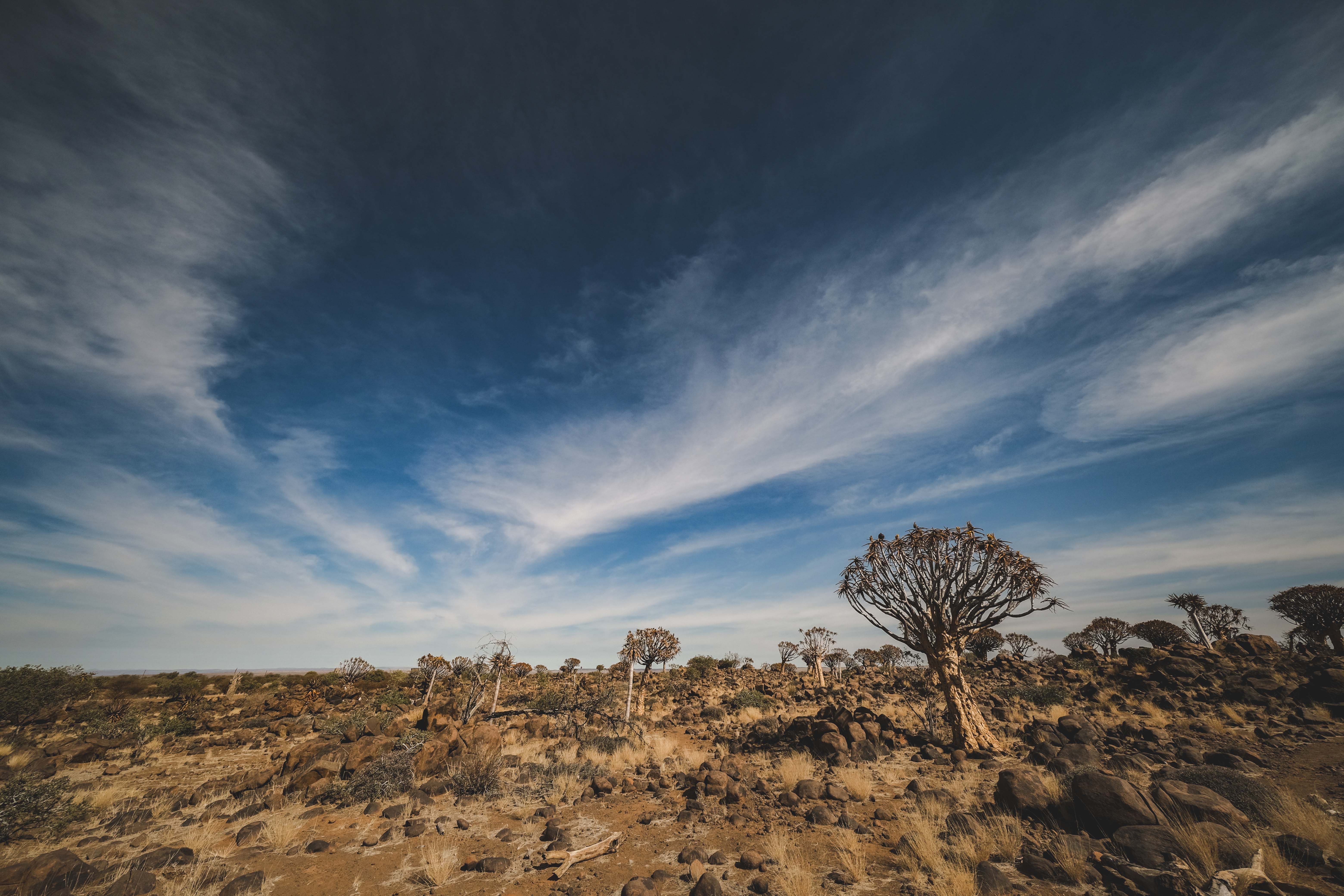 12 Day Watamu Retreat & Safari in Kenya, South Africa 2