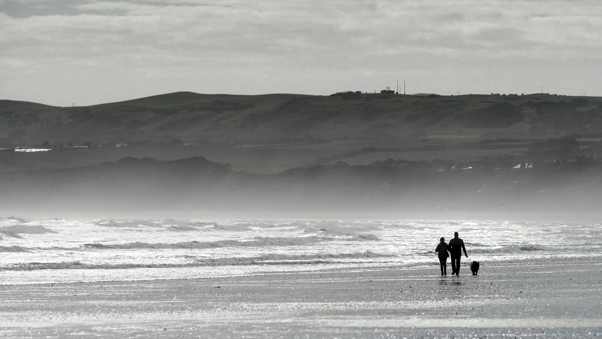 Couple walking a dog on a beach with a heavy surf