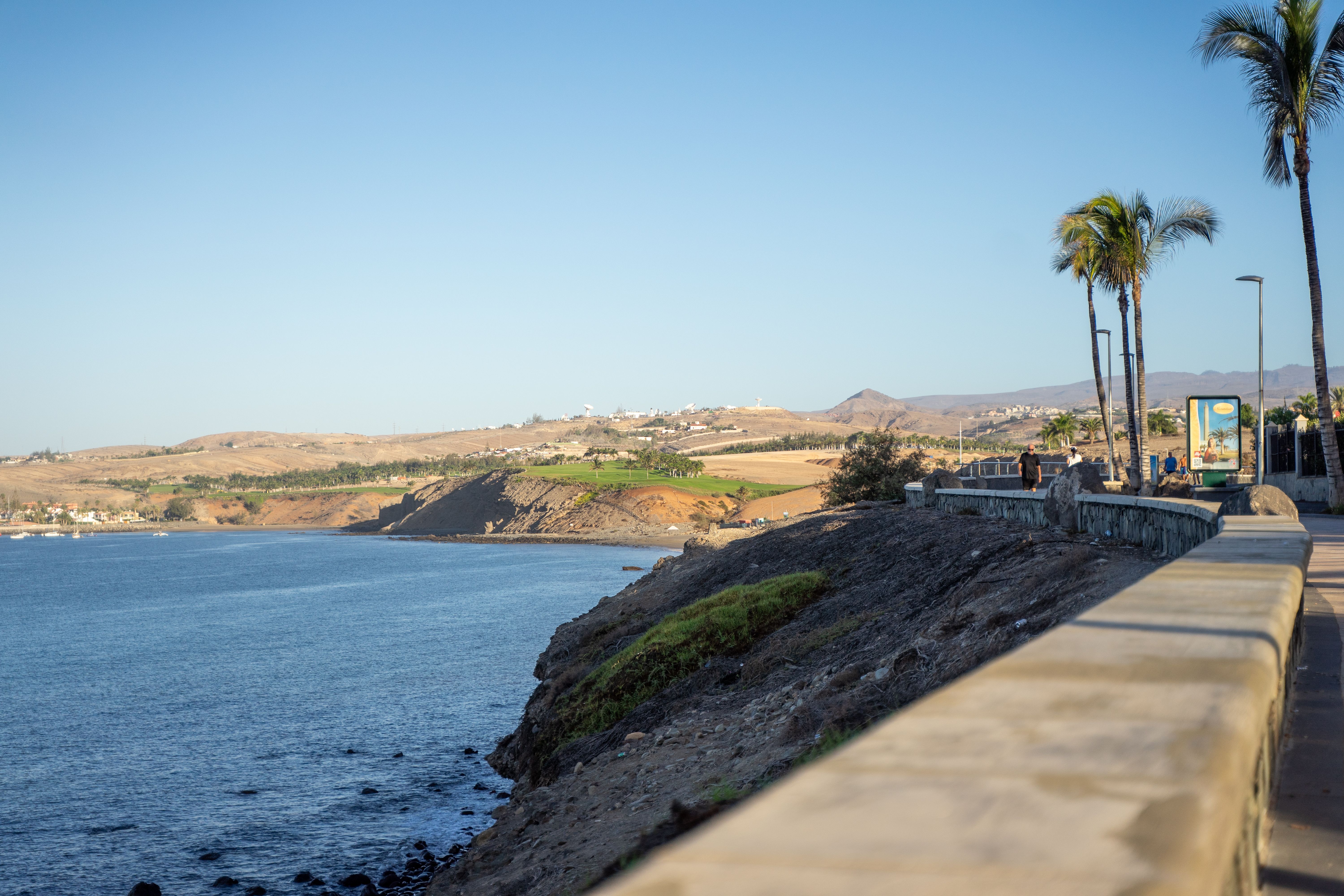 Palm-lined path along the Nile at golden hour