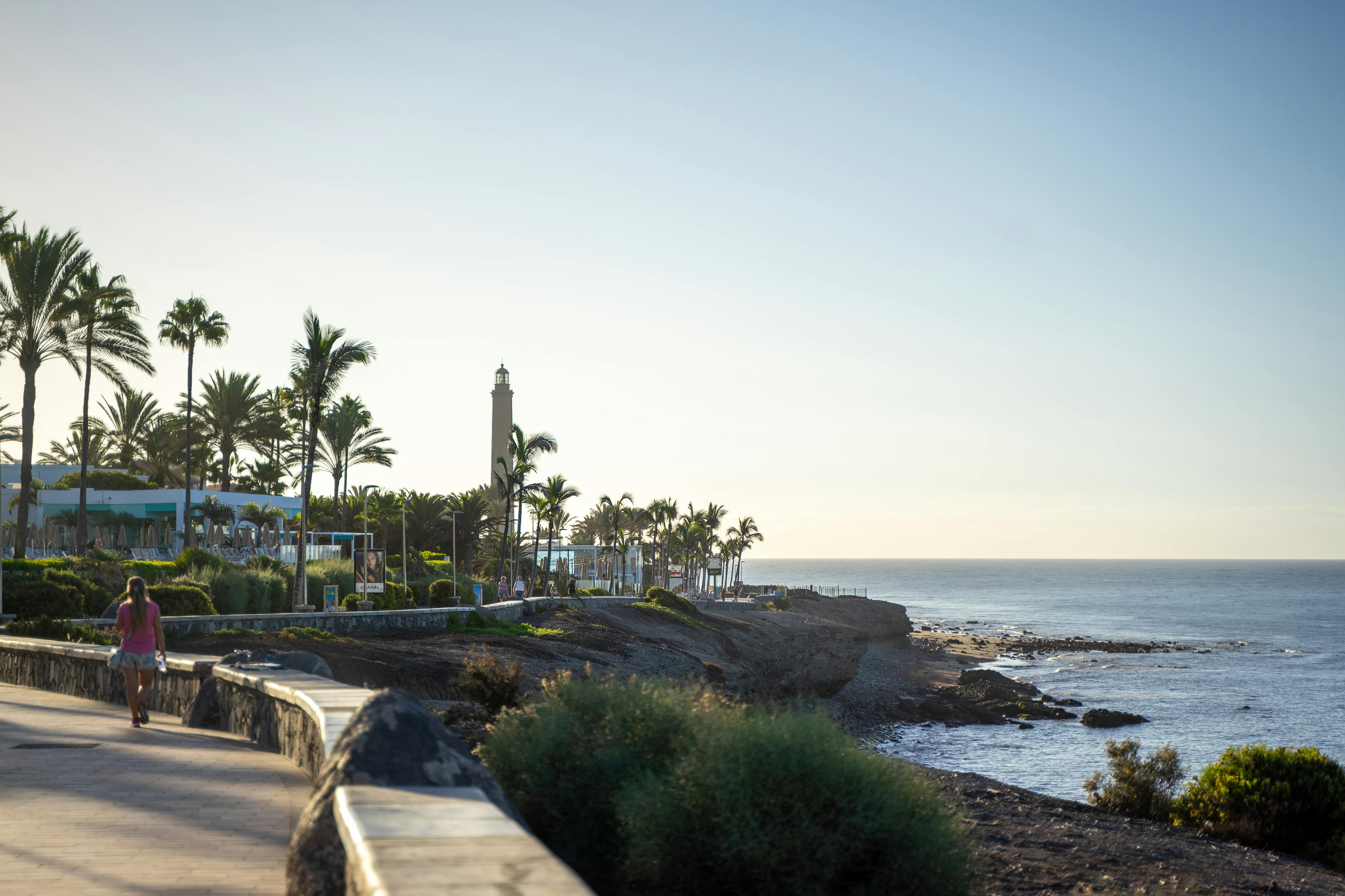 scenic oceanfront walkway with palm trees