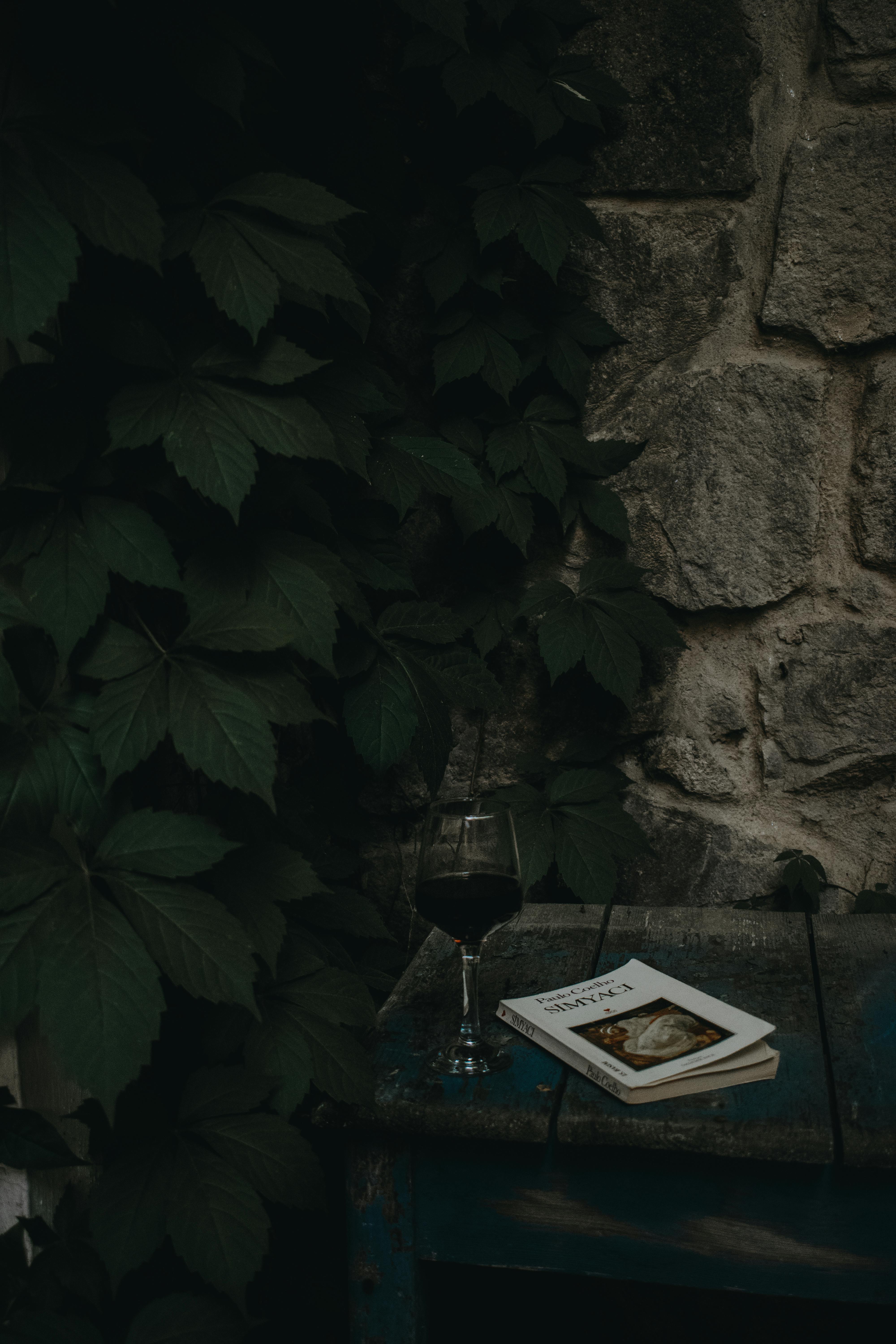 A dark, atmospheric scene featuring a glass of red wine next to a book, set against a leafy wall and rustic surface.
