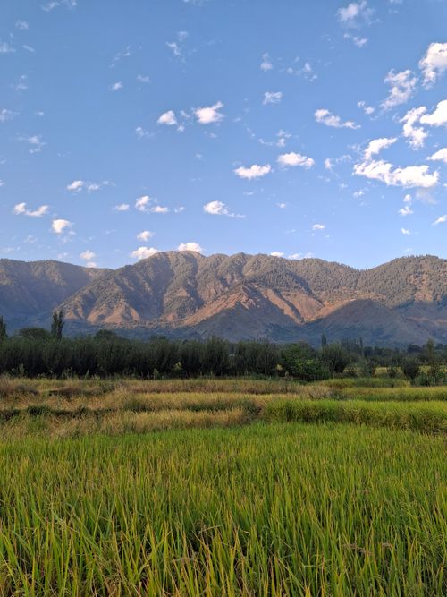 Free Lush green fields beneath a crisp blue sky and majestic mountains. Stock Photo
